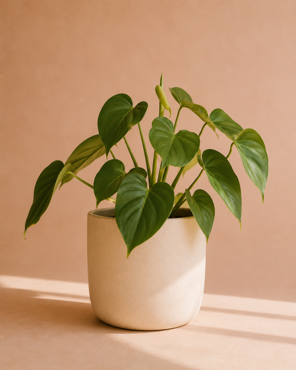 Green Plant