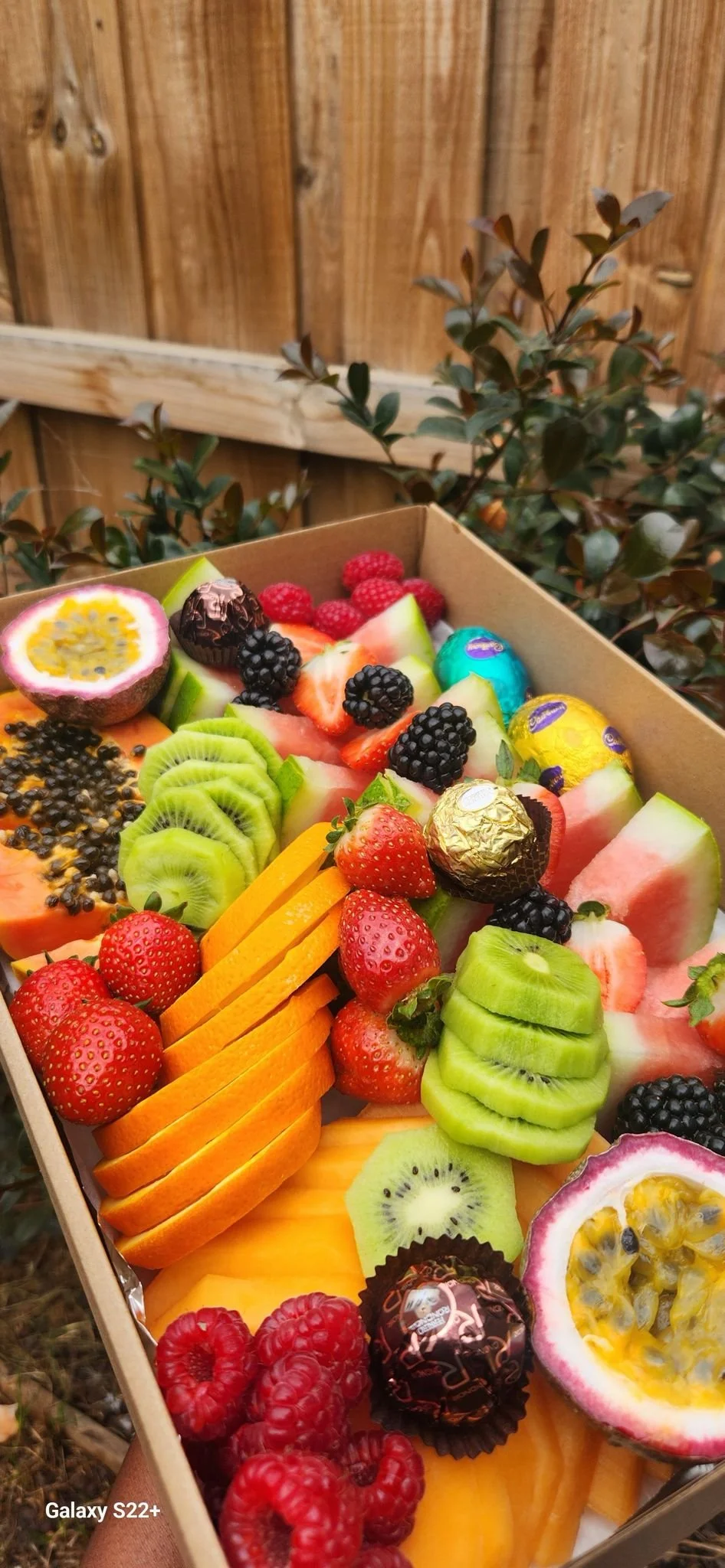 Medium Fruit Platter