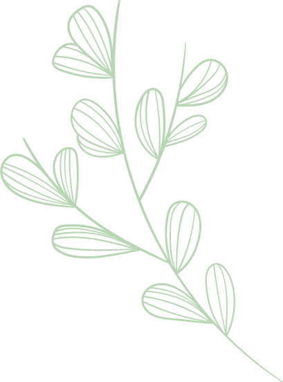Dessin simple d'une fleur stylisée en lignes vertes