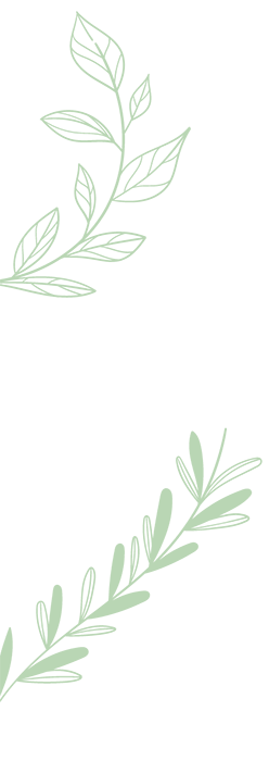 Dessin simple de fleurs stylisées en lignes blanches et vertes