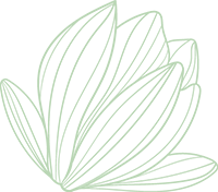 Dessin simple d'une fleur stylisée en lignes blanches