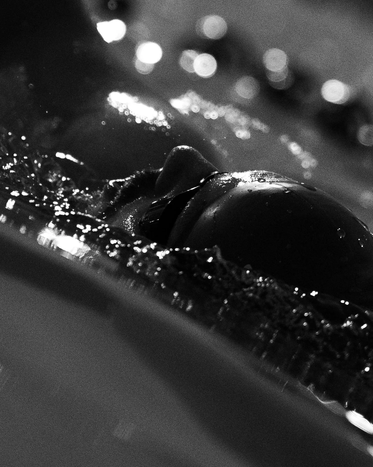 dav_swim-8.jpg