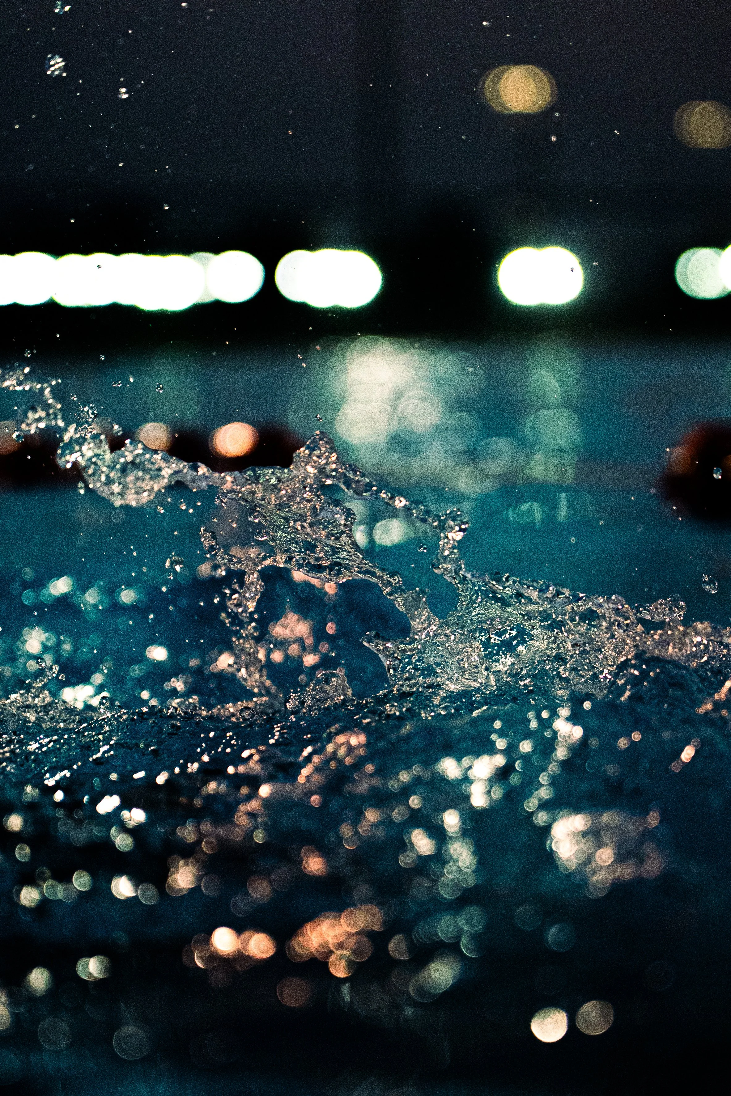 dav_swim-5.jpg