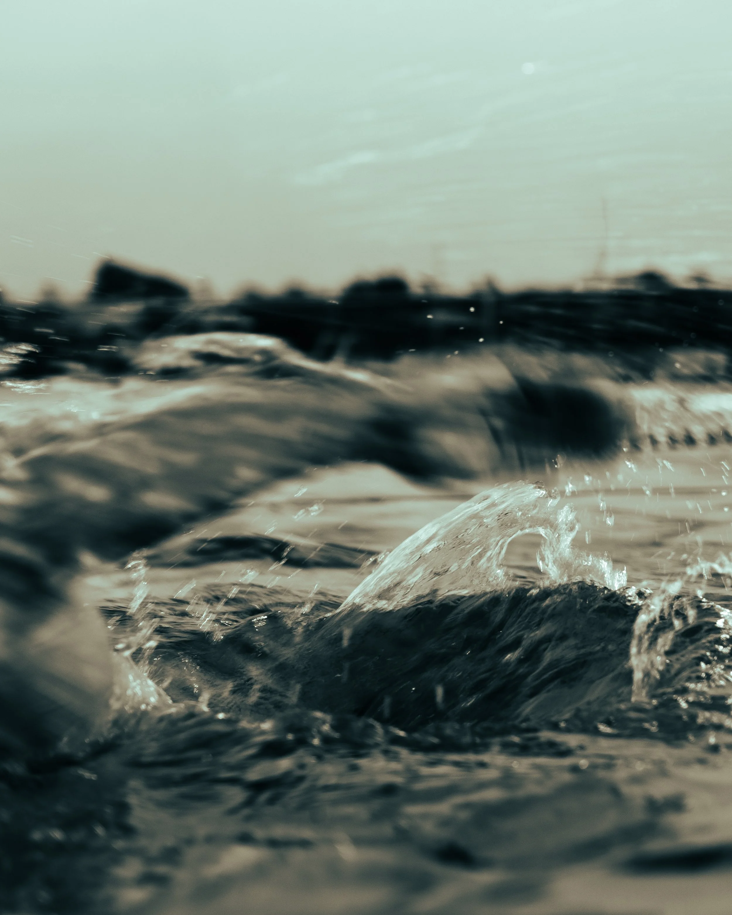 dav_swim-27.jpg