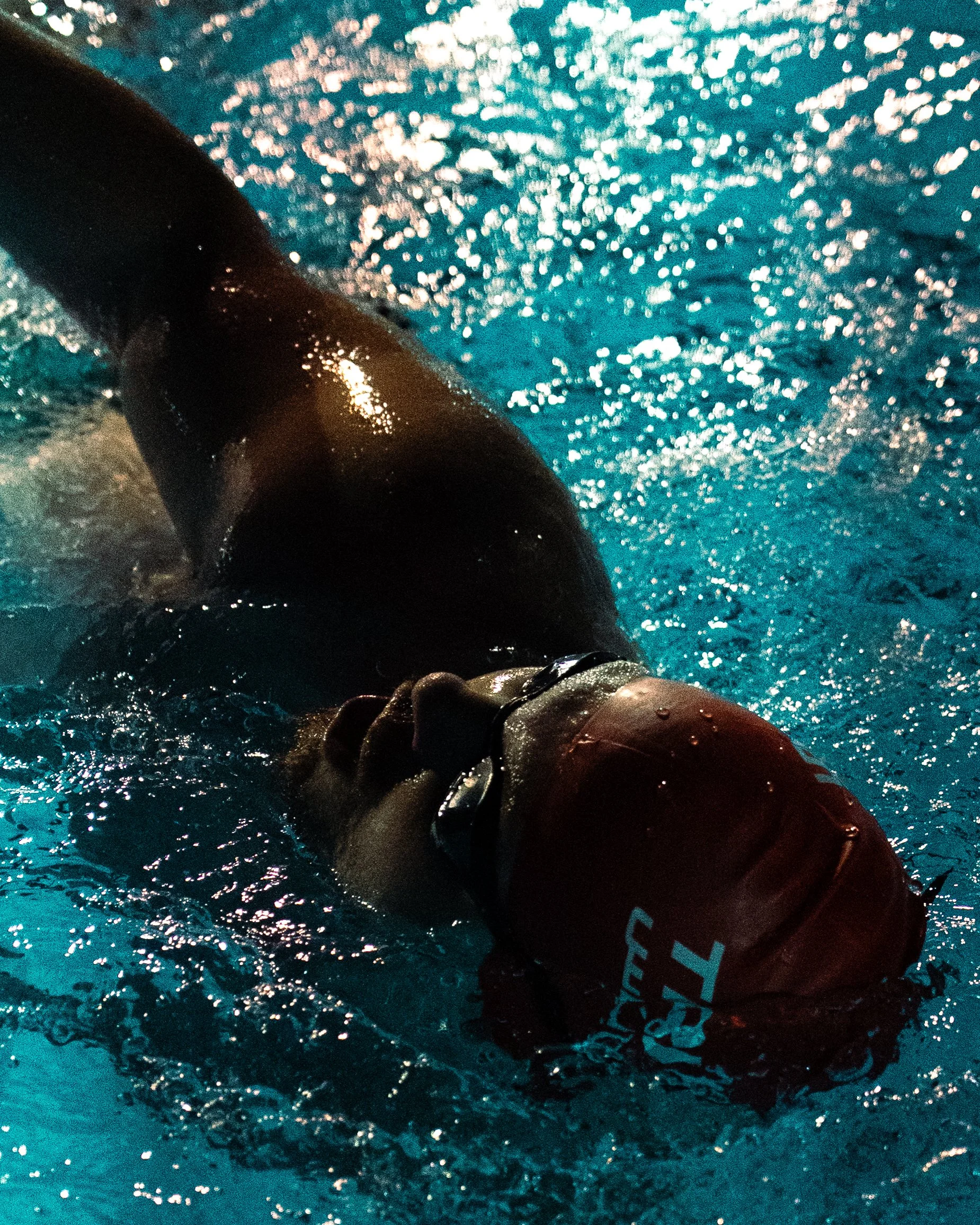 dav_swim-3.jpg