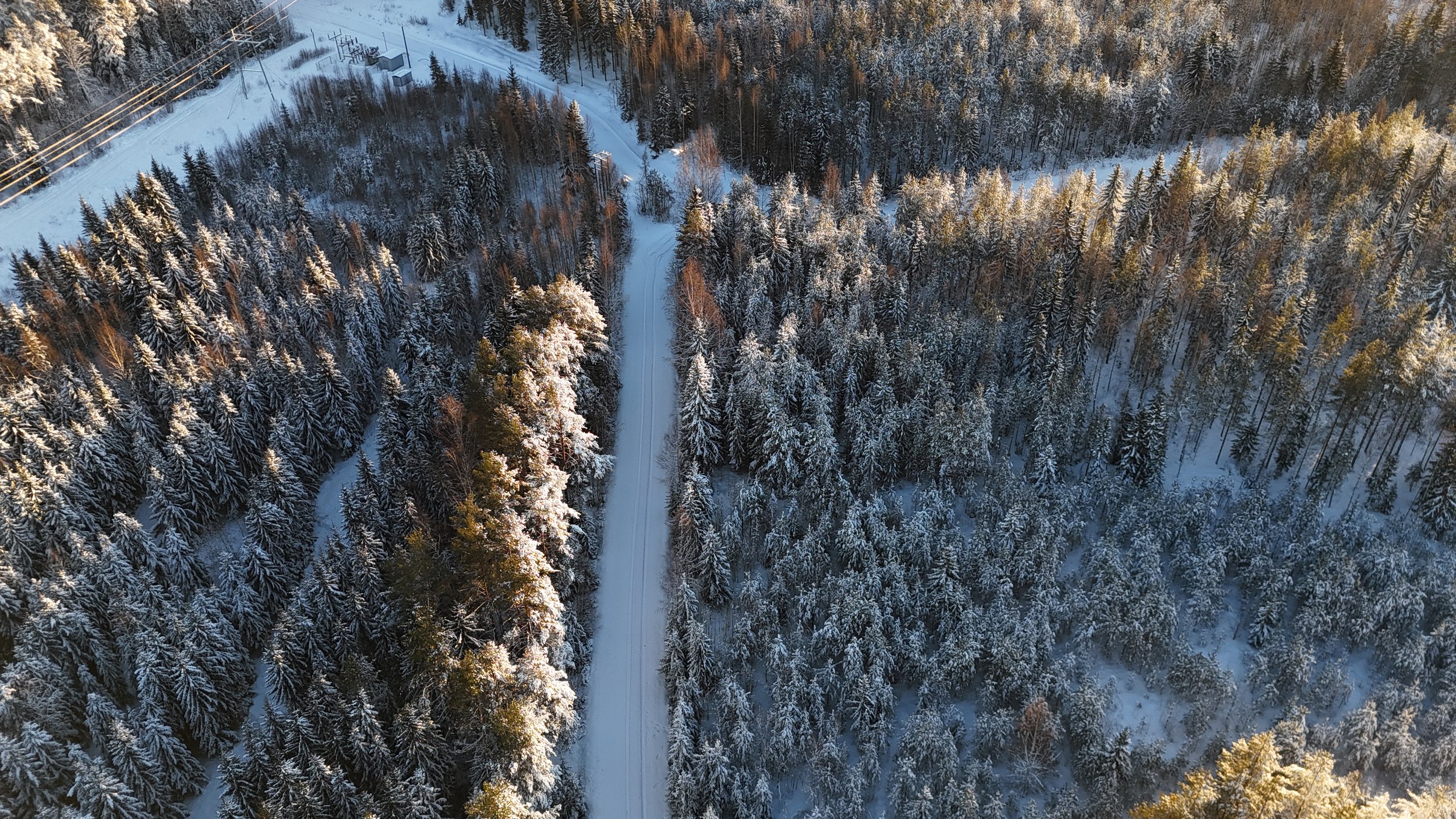 A snowy forest with a winding road running through it, surrounded by tall snow-covered trees, with power lines on the left side.
