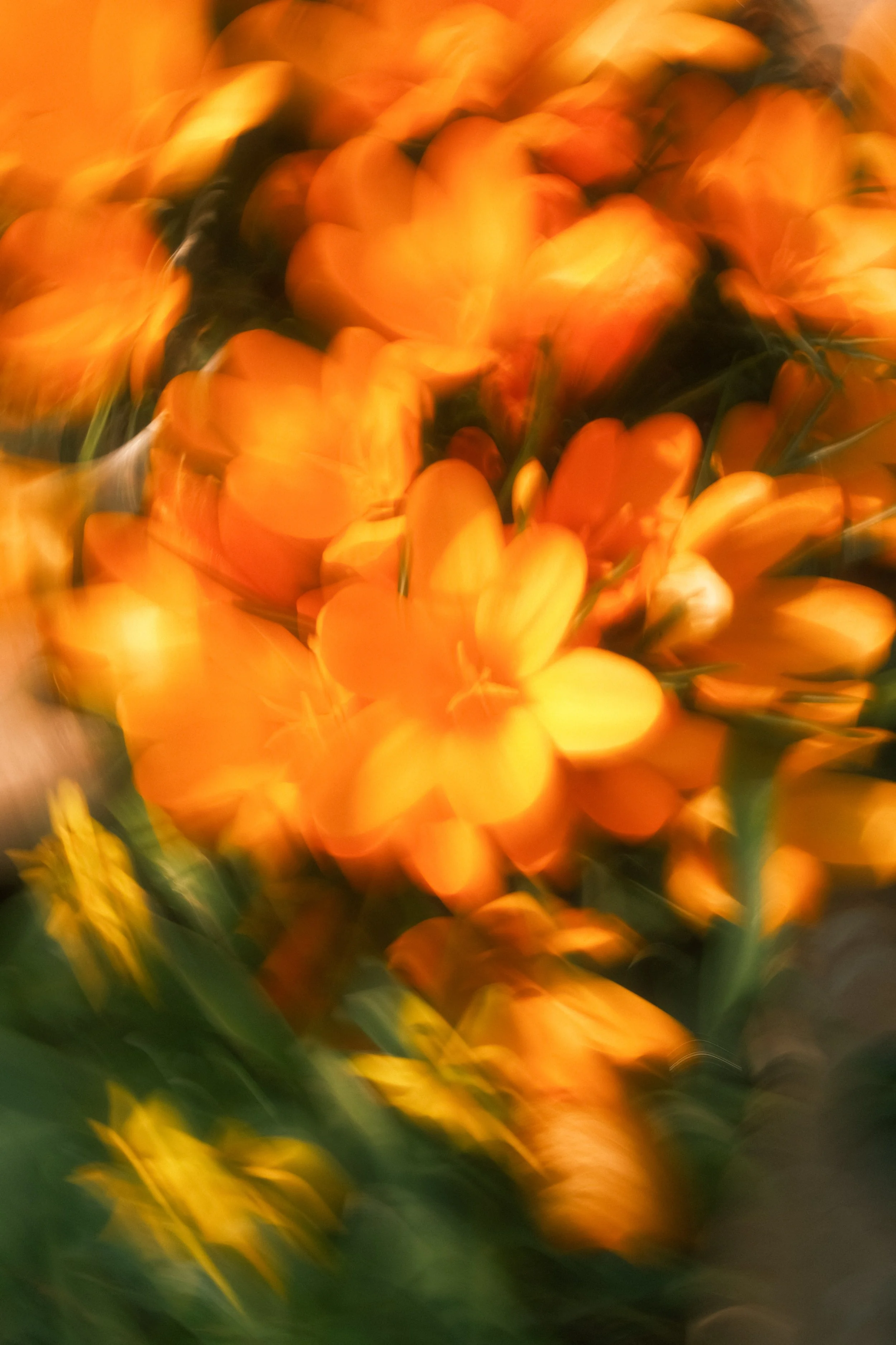 moments-28.jpg