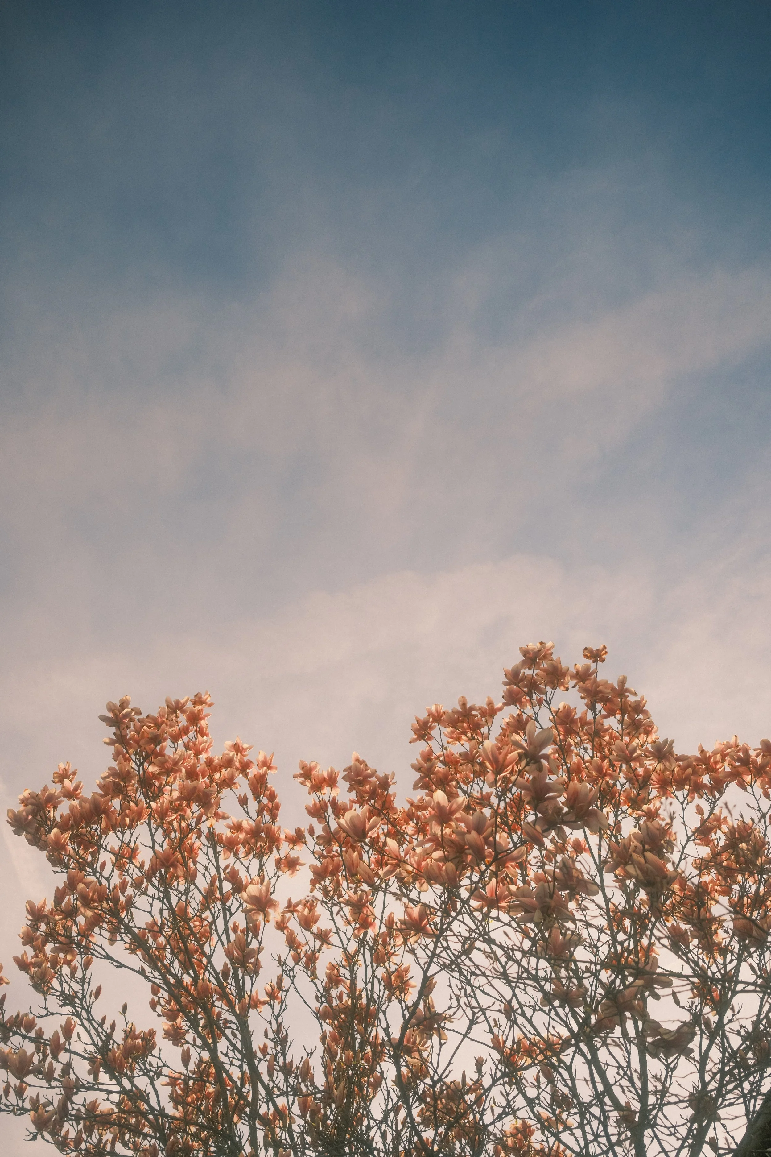 moments-38.jpg