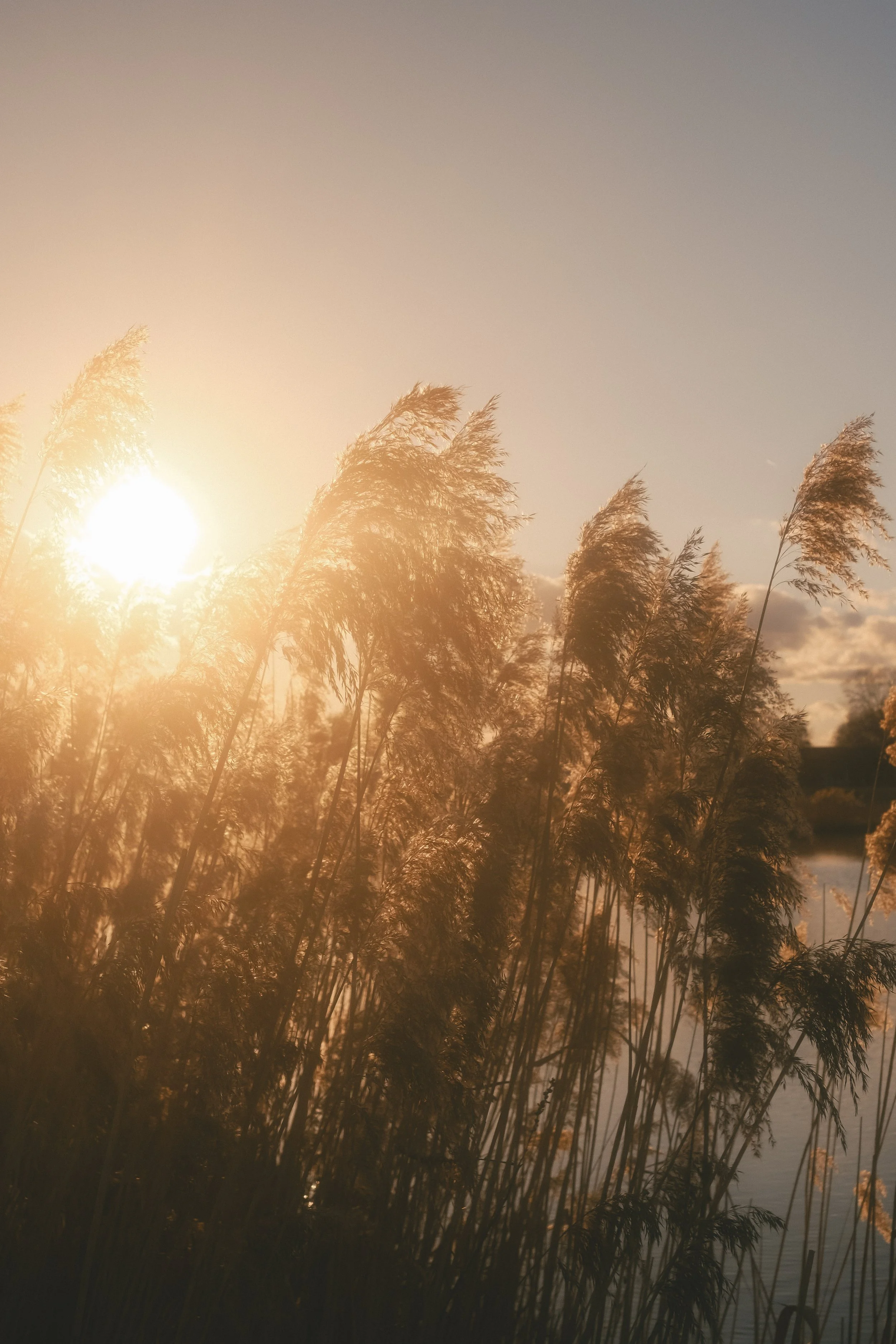 moments-14.jpg