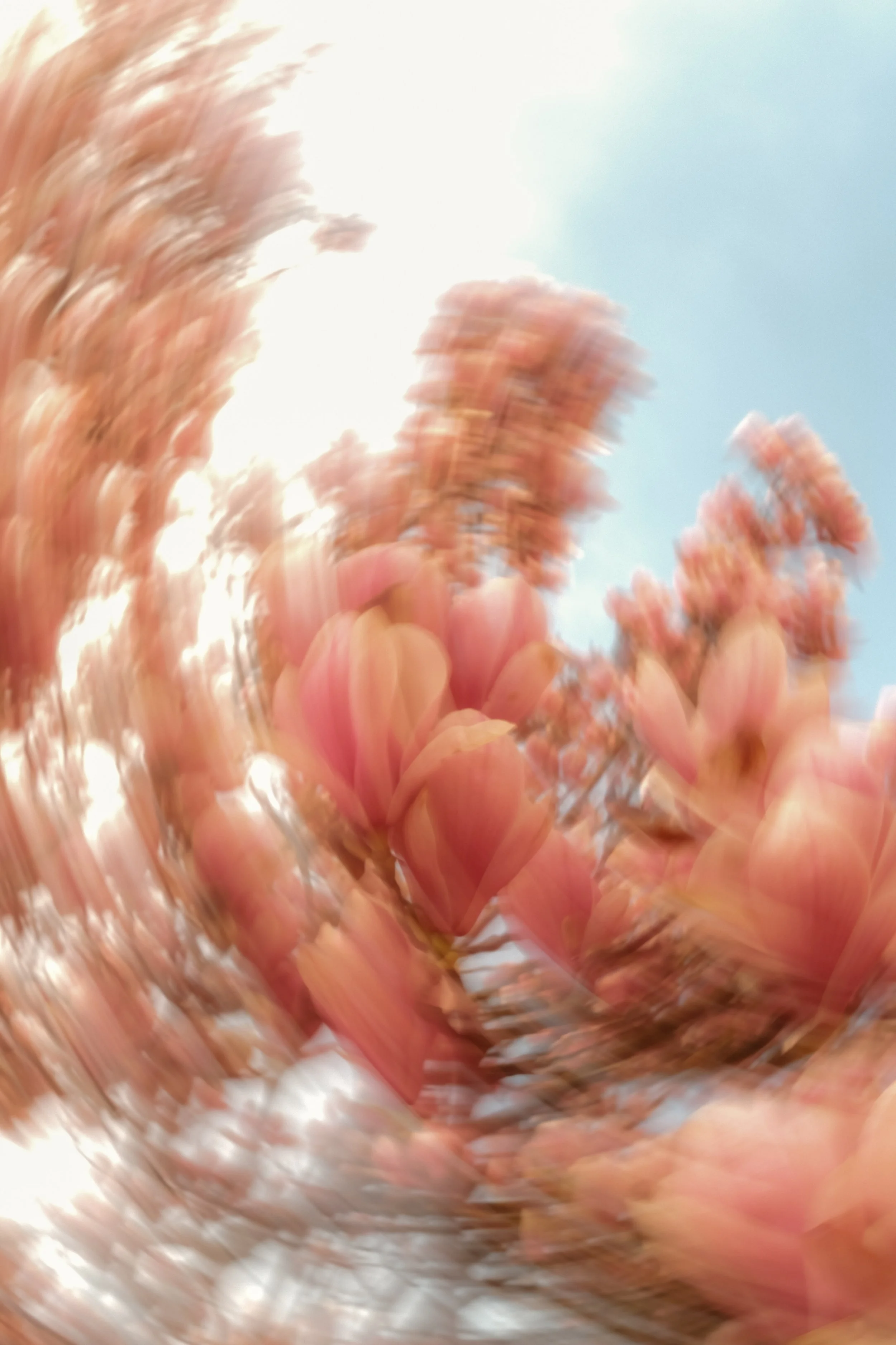 moments-60.jpg