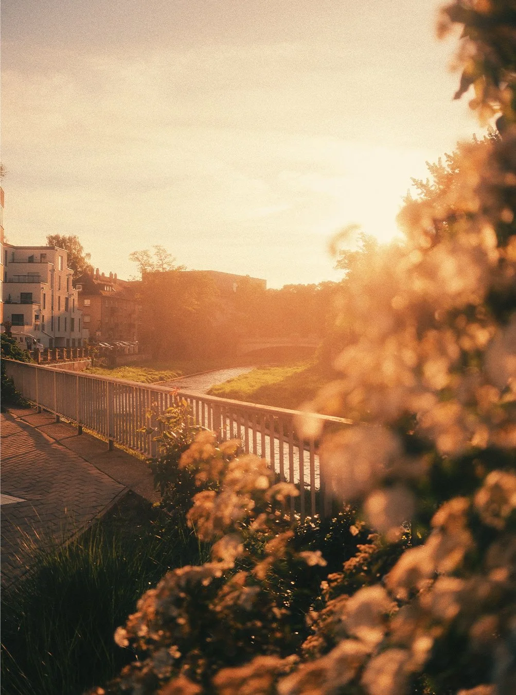 Fujixlovers_13.jpg