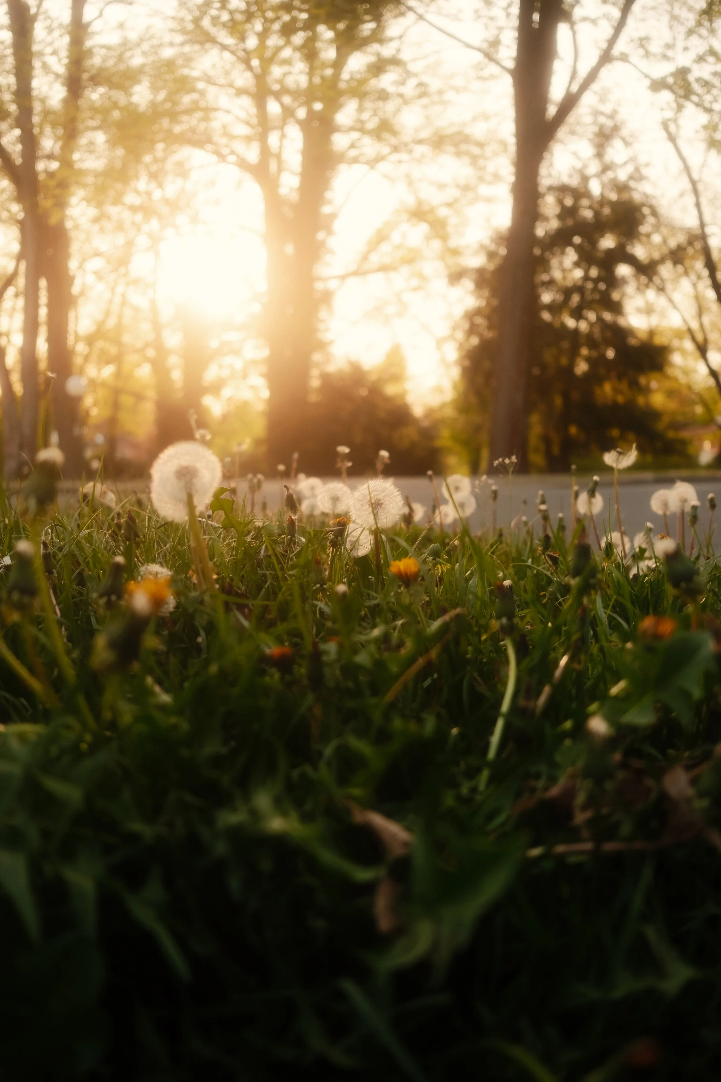 moments-97.jpg