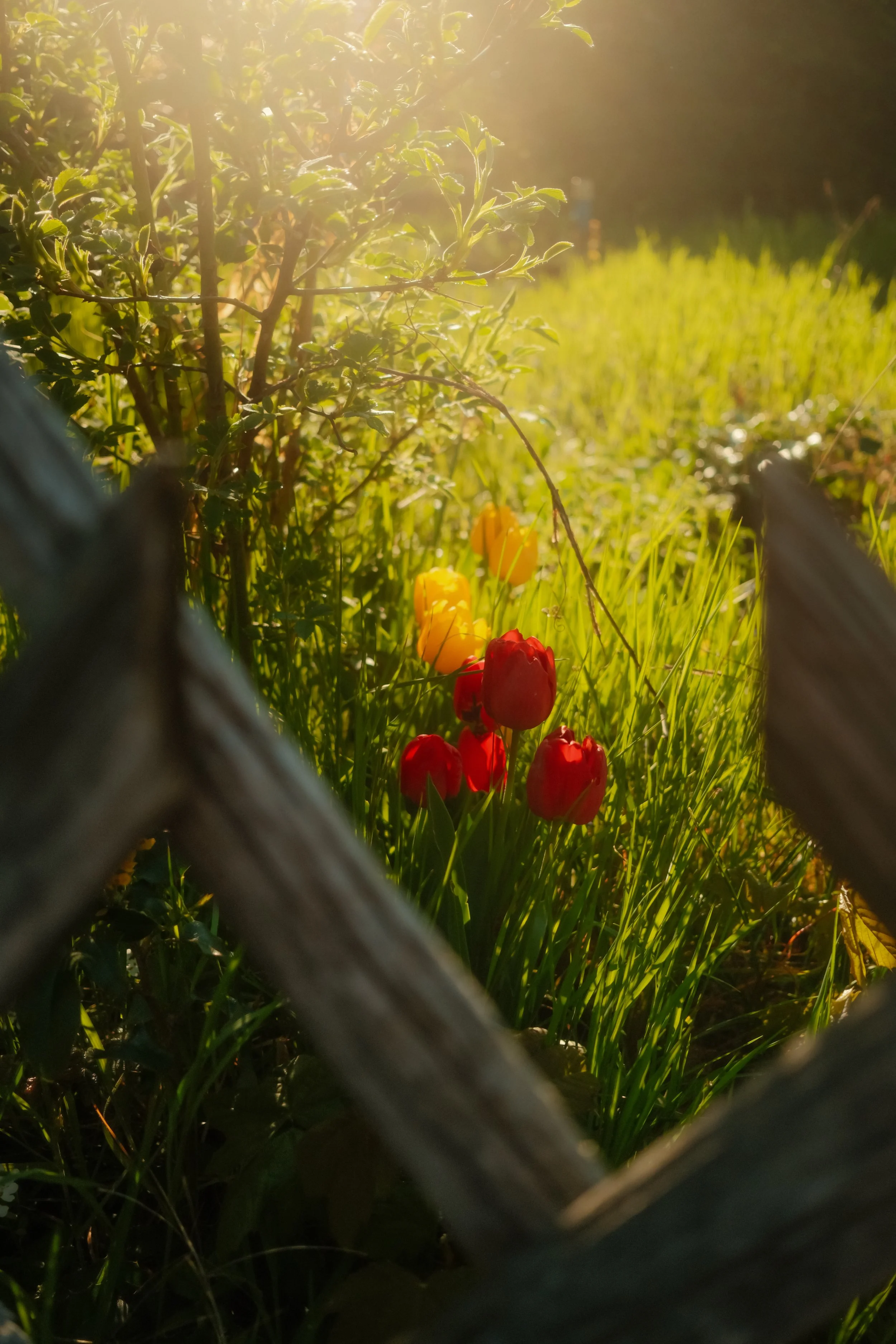 moments-71.jpg