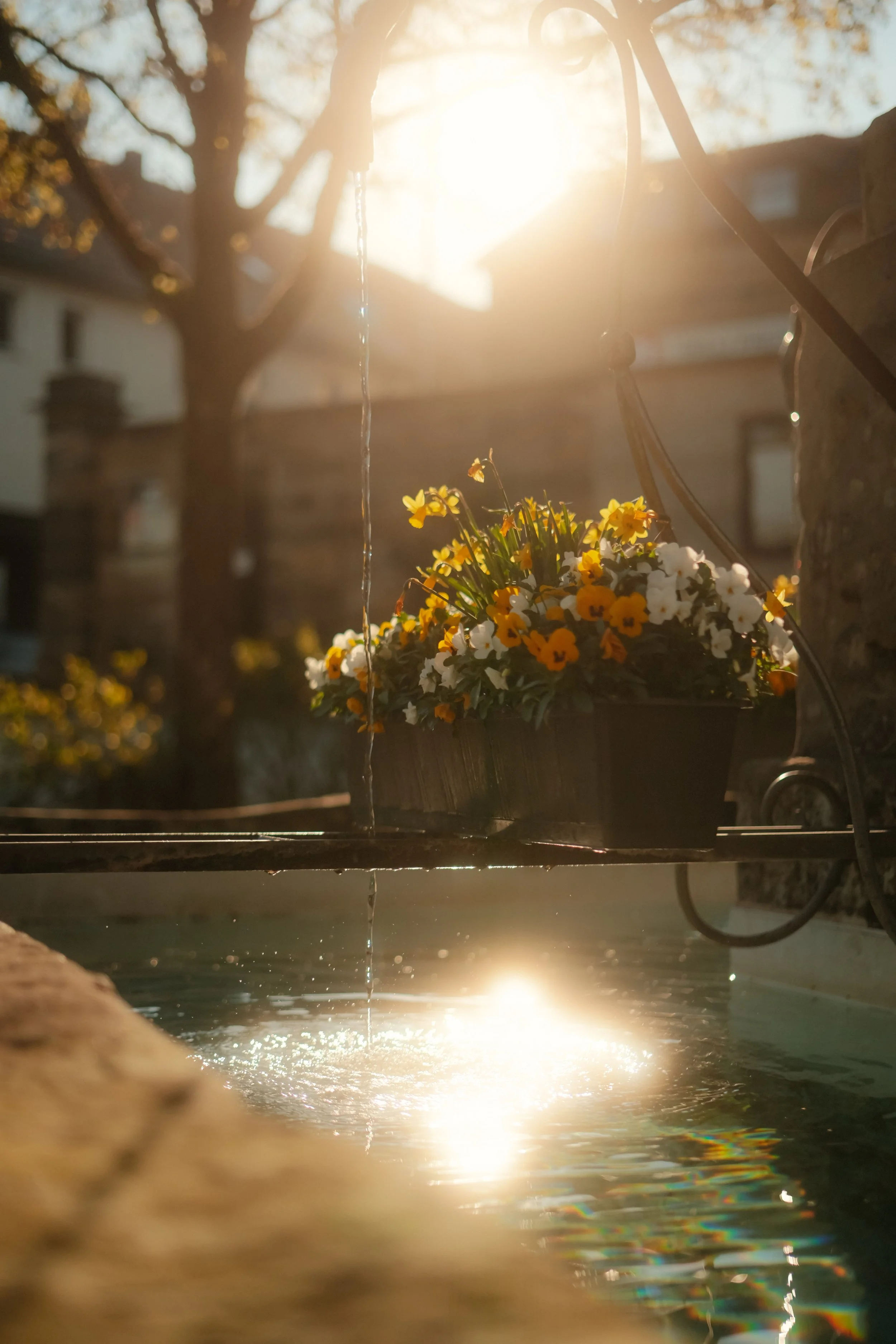 moments-70.jpg