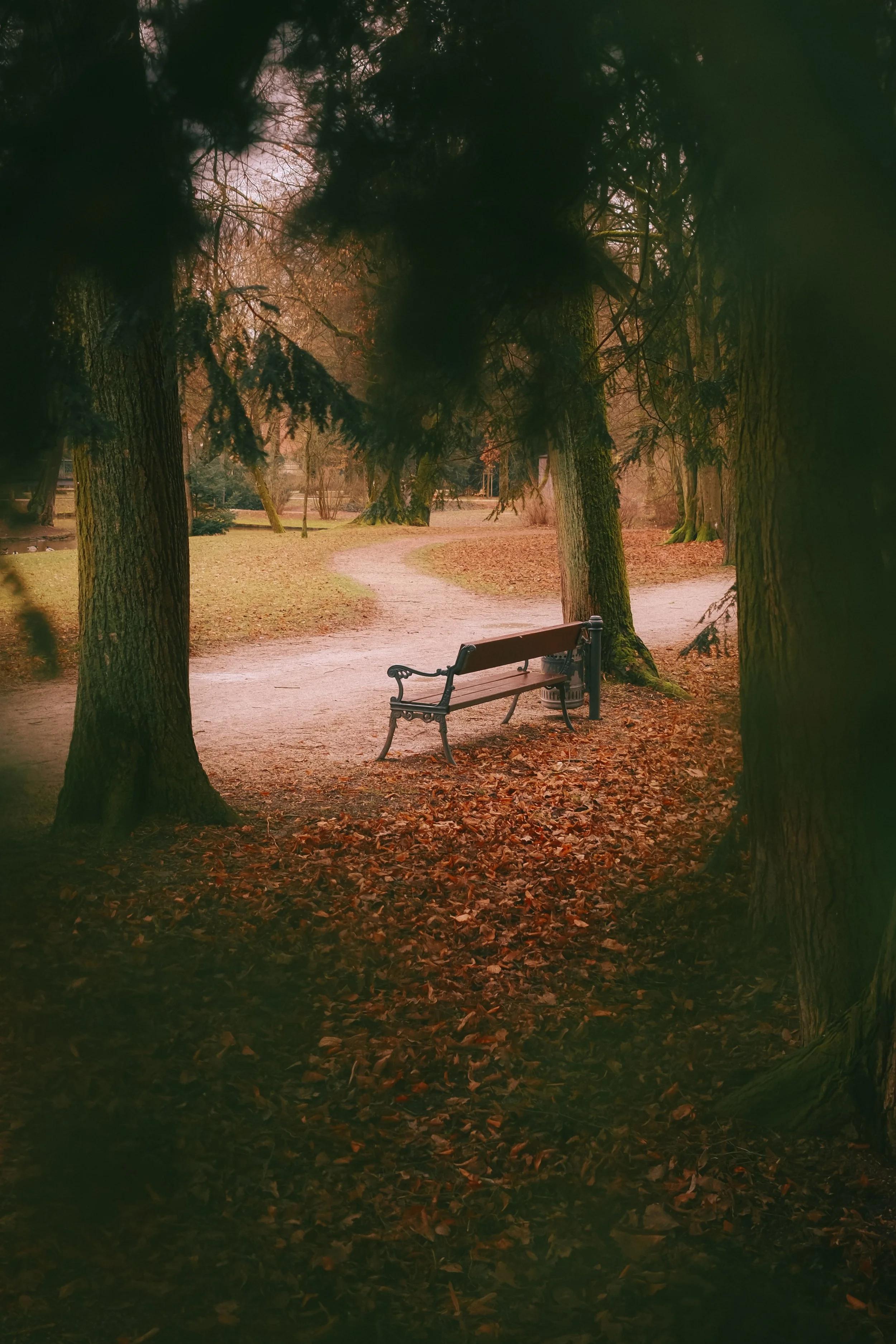 moments-8.jpg