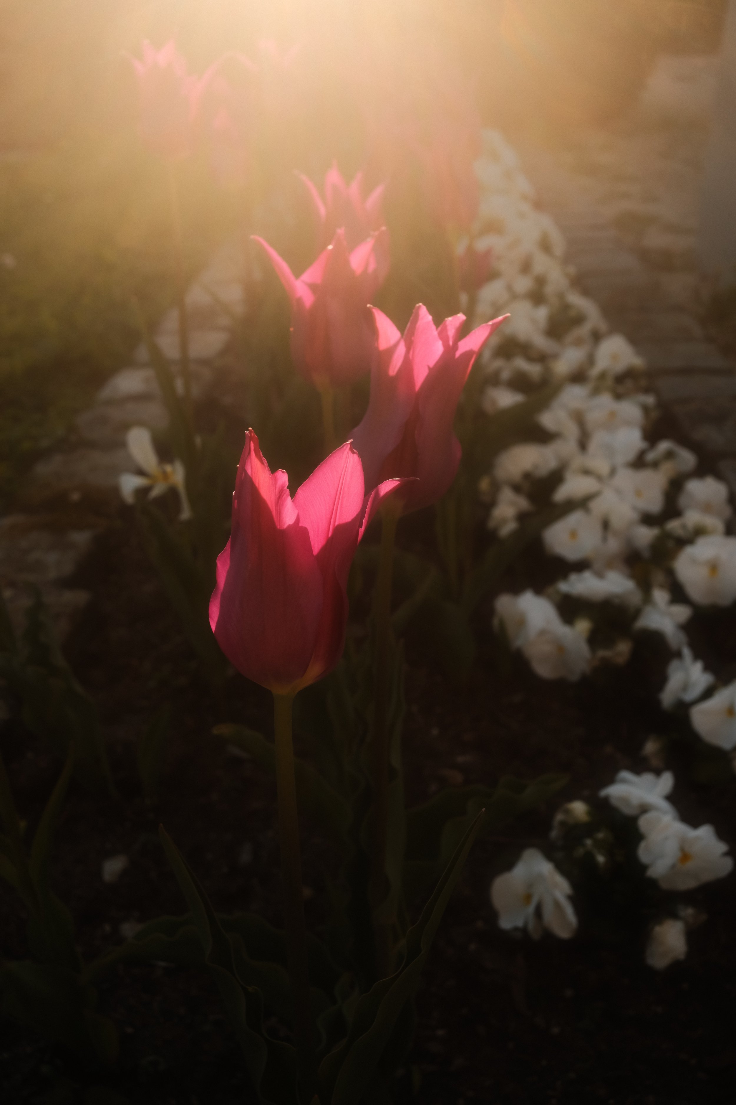 moments-78.jpg