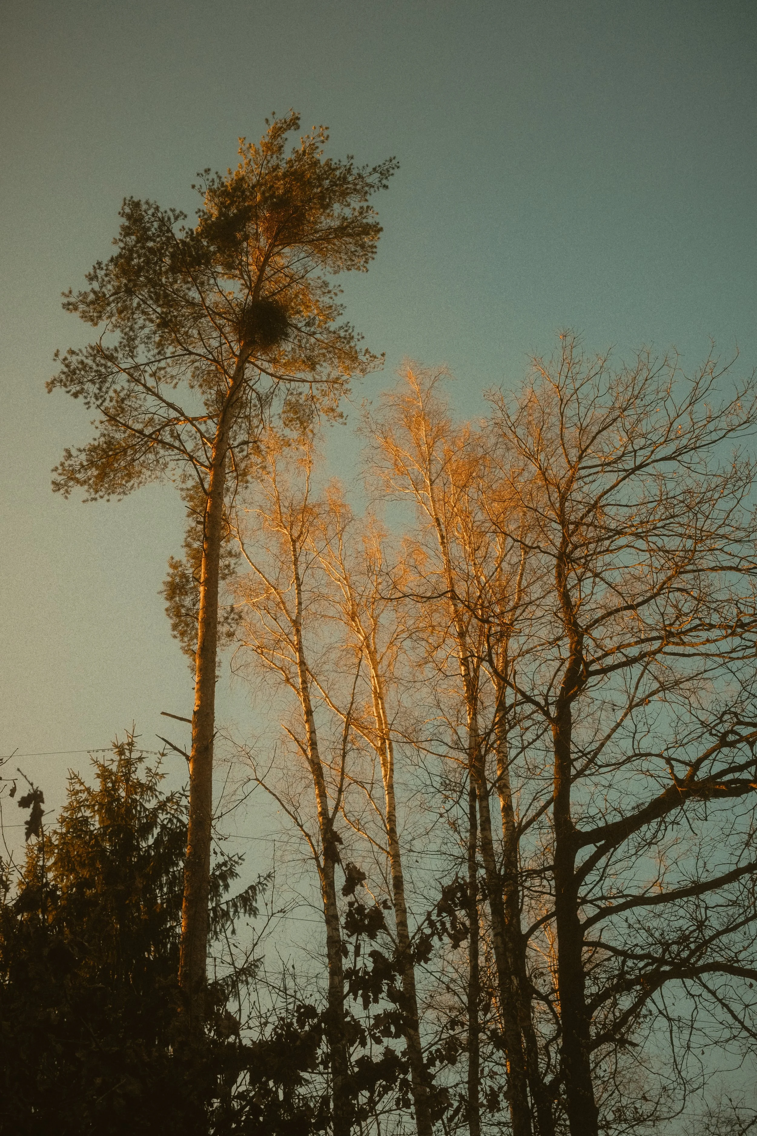 moments-23.jpg