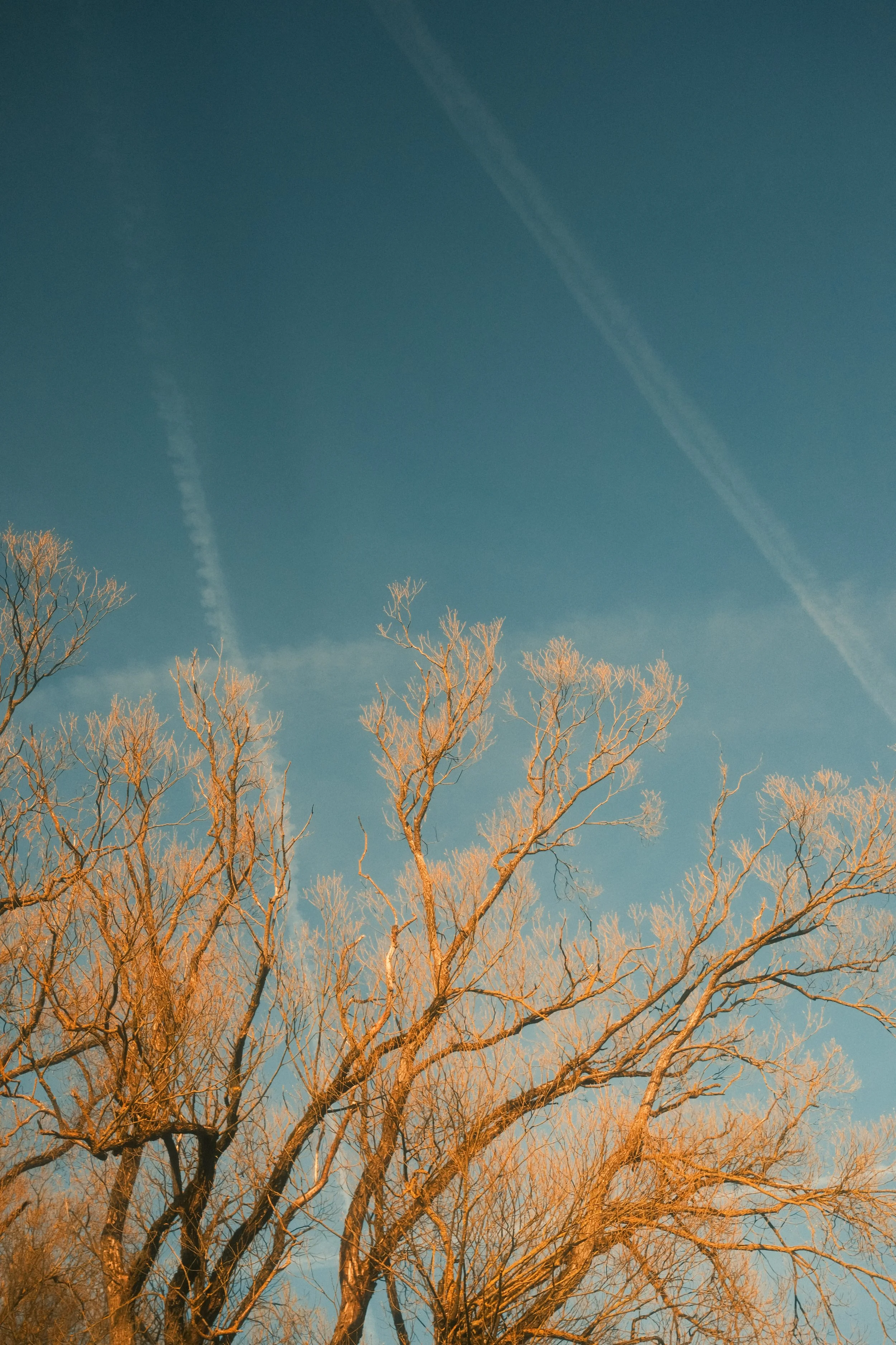 moments-45.jpg