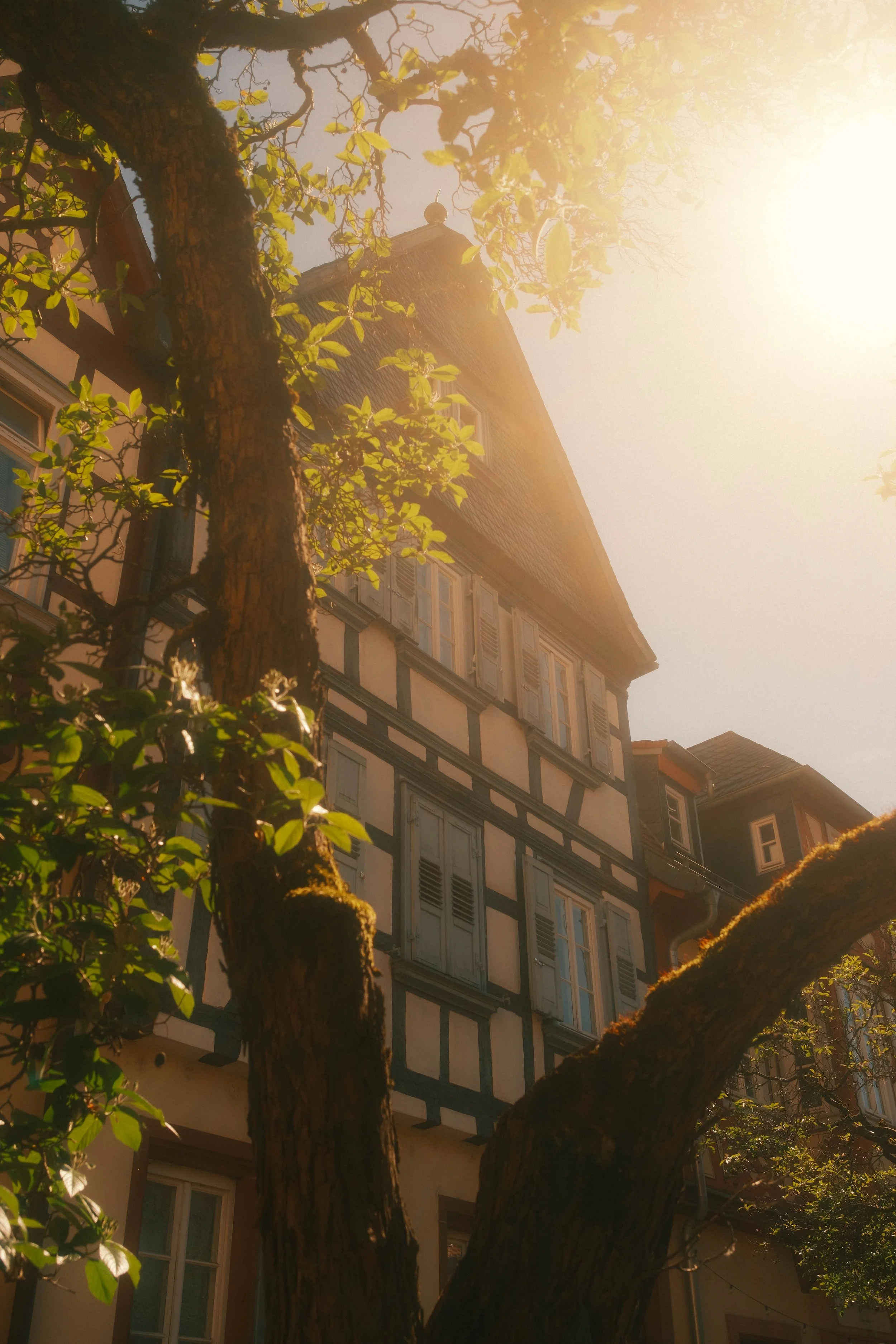 Architektur-38.jpg