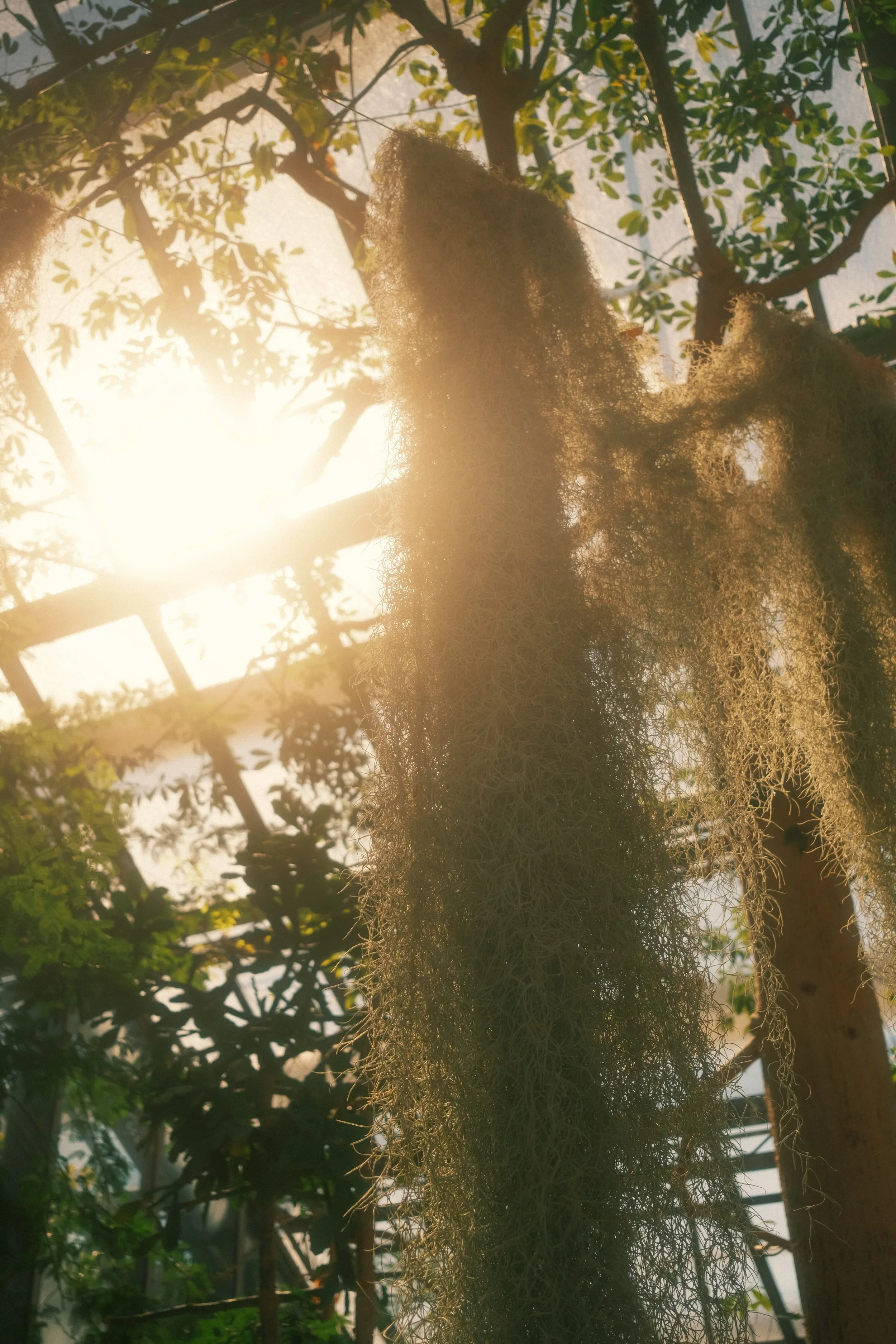 moments-52.jpg