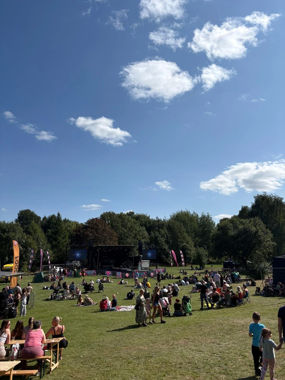 Outdoor concert in a park with a stage, audience sitting on grass, under blue sky with scattered clouds and trees.