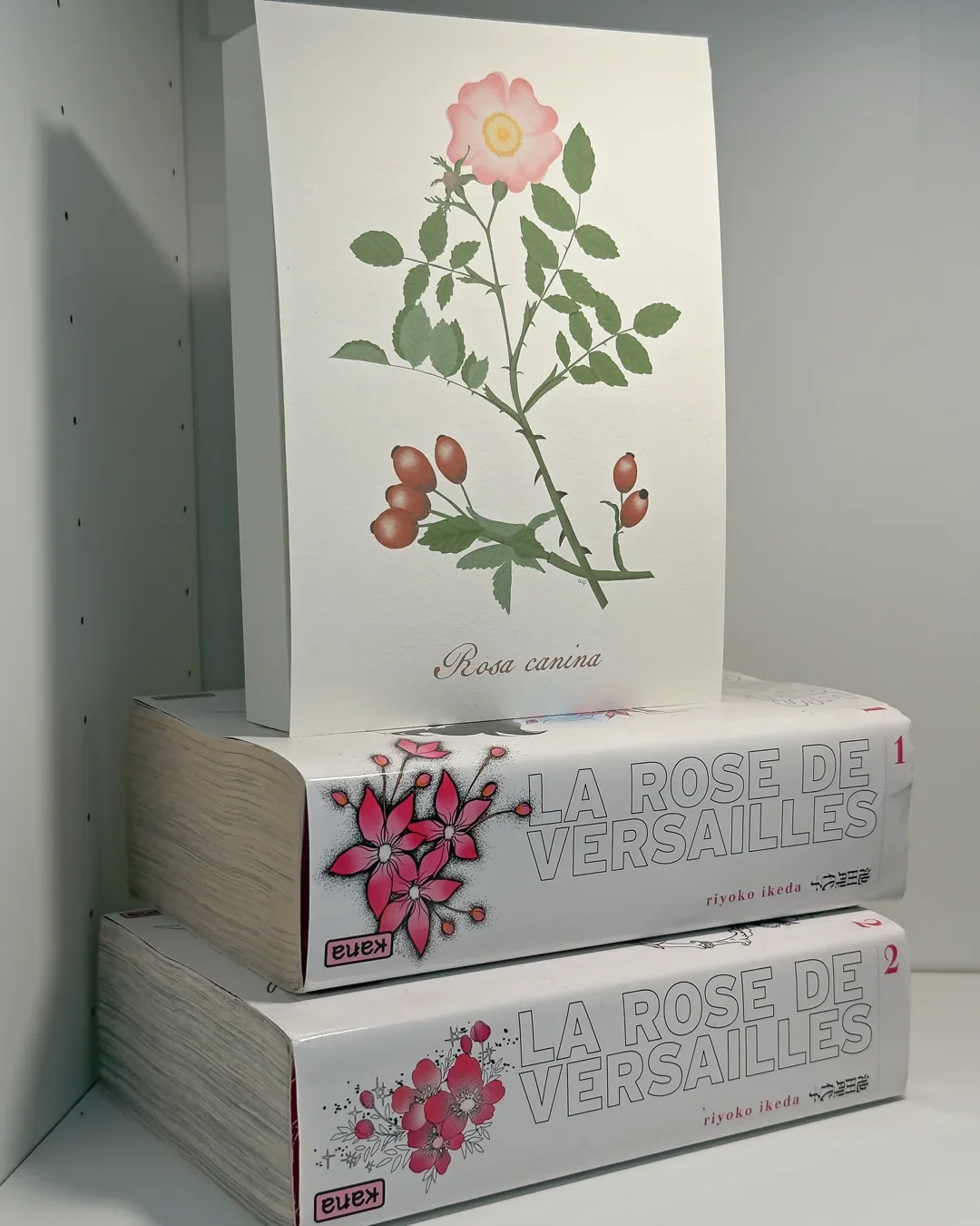 Rosa canina emozionale.webp