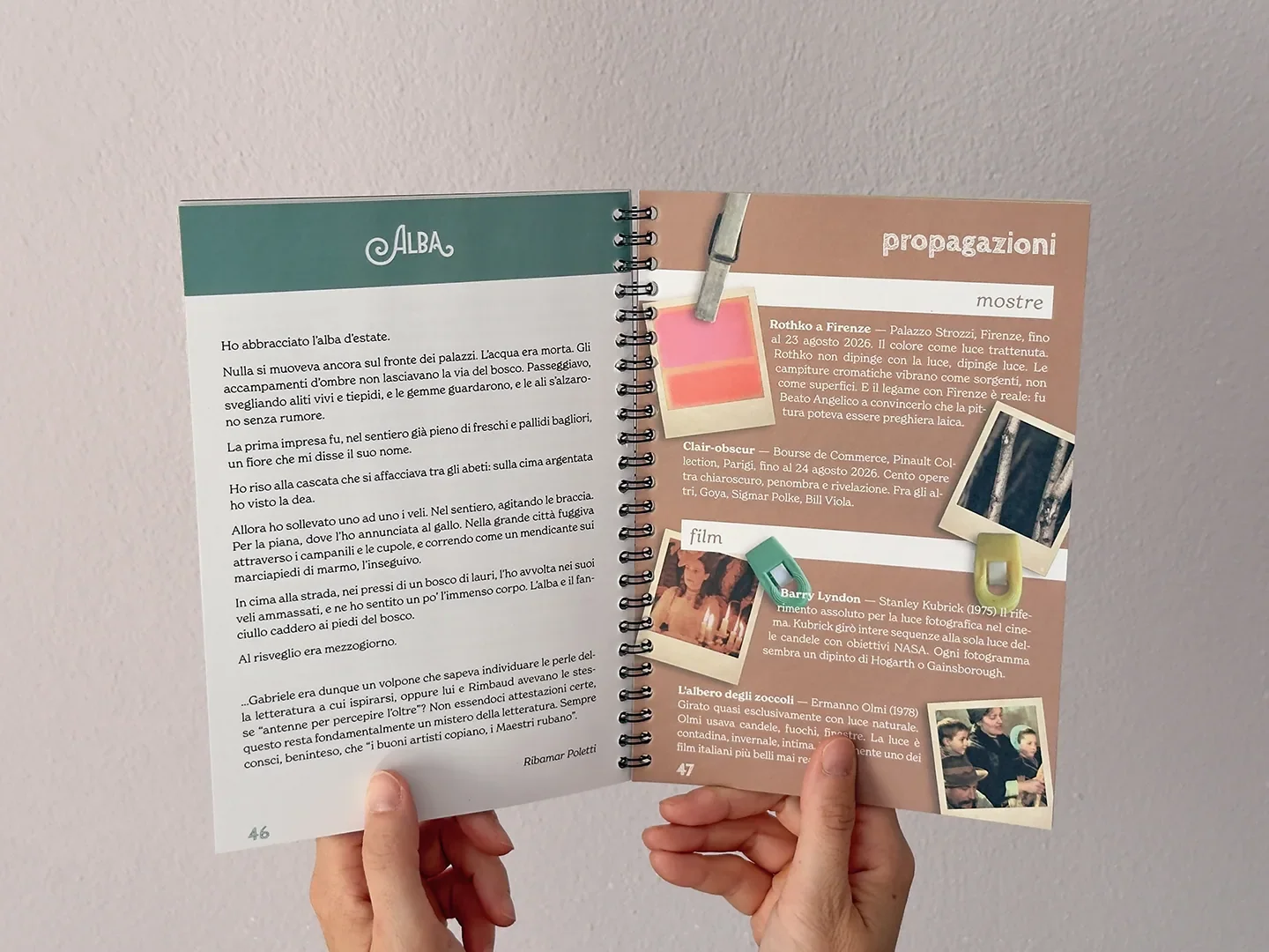Seeds n° 5 fanzine aperta