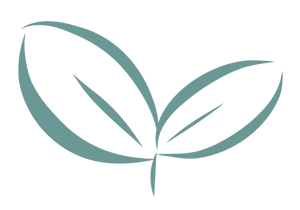 Germoglio, parte del logo di Seeds