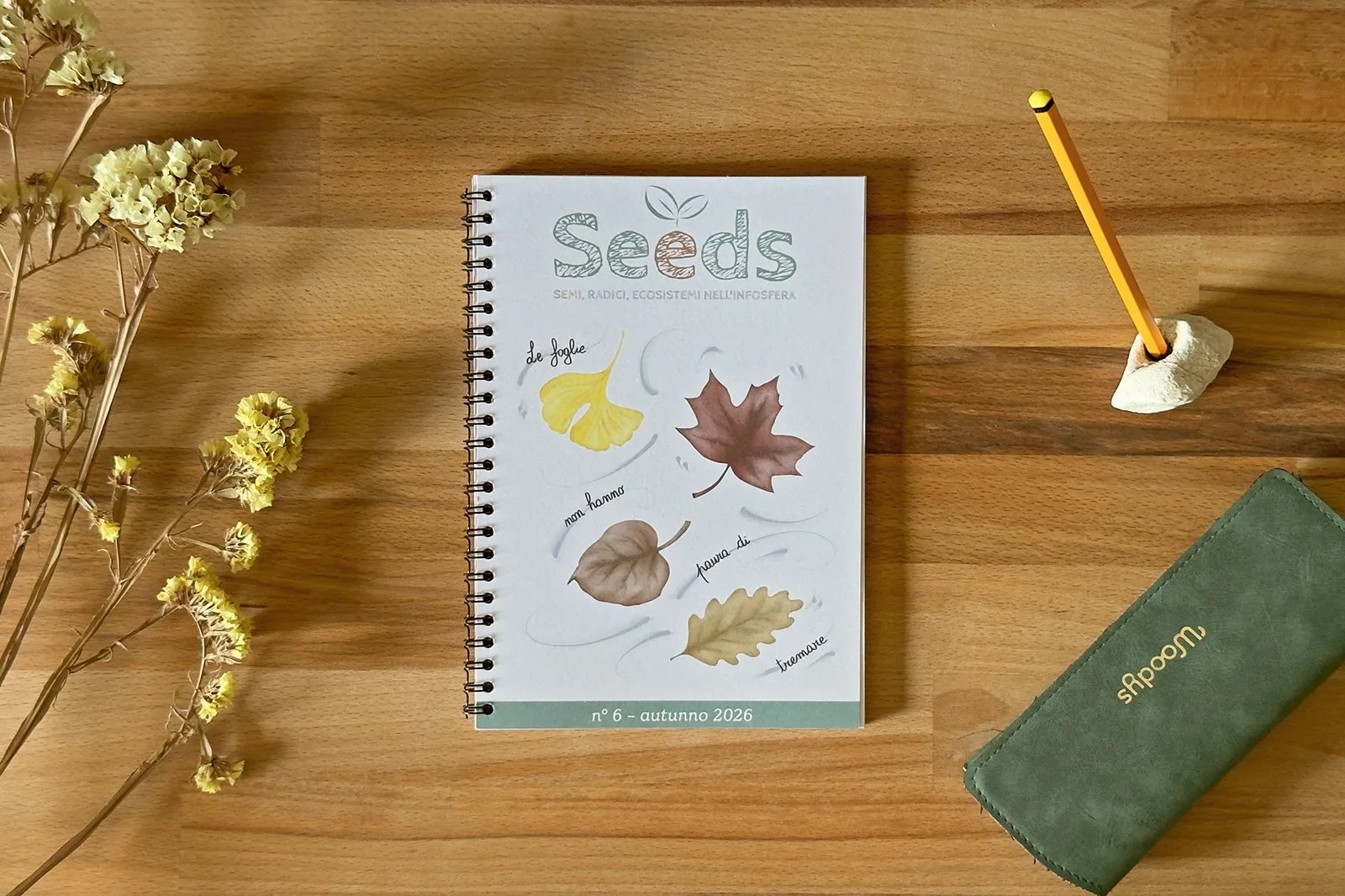 Seeds n° 6 rivista autunno 2026