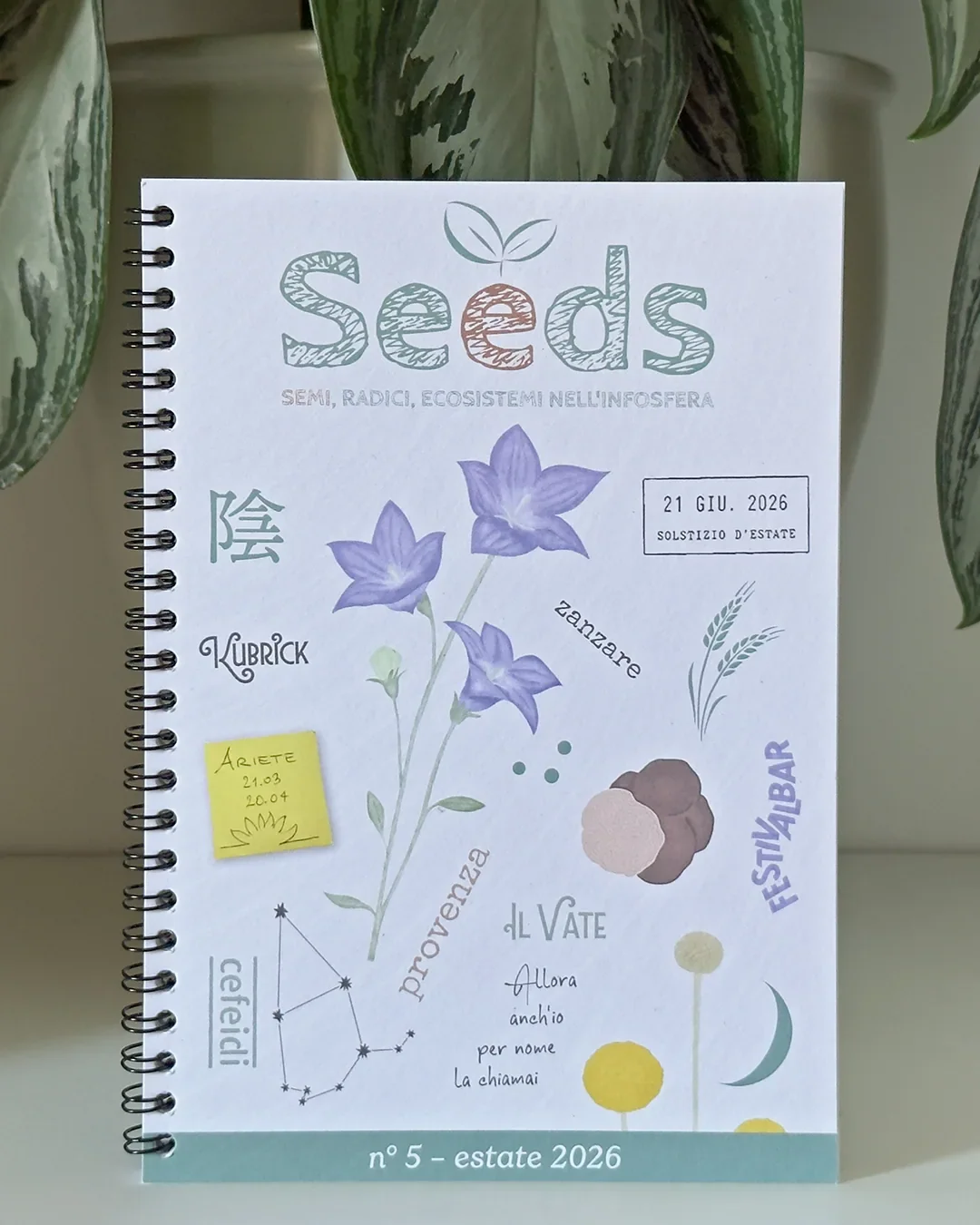 Seeds n.5 | Estate 2026