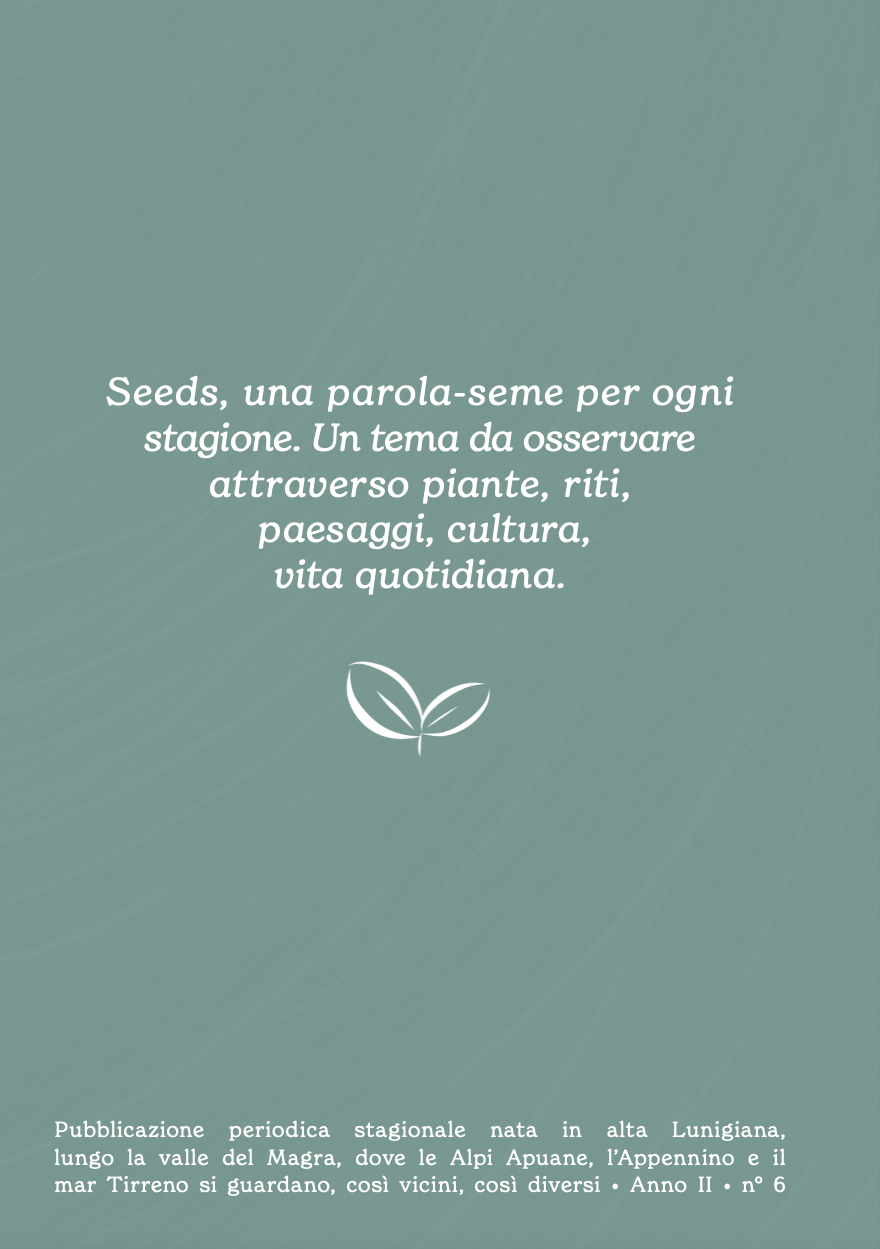 Retro seeds lab digitale.png