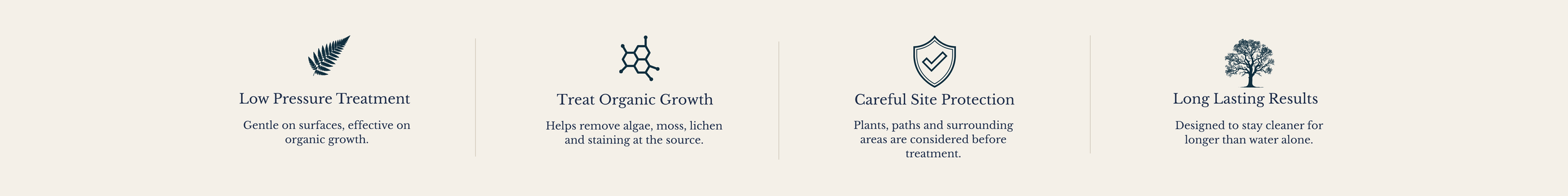 A horizontal infographic with four sections, each with an icon and text: 1) fern leaf icon with 'Low Pressure Treatment' and description, 2) chemical structure icon with 'Treat Organic Growth' and description, 3) shield icon with 'Careful Site Protection' and description, 4) tree icon with 'Long Lasting Results' and description.