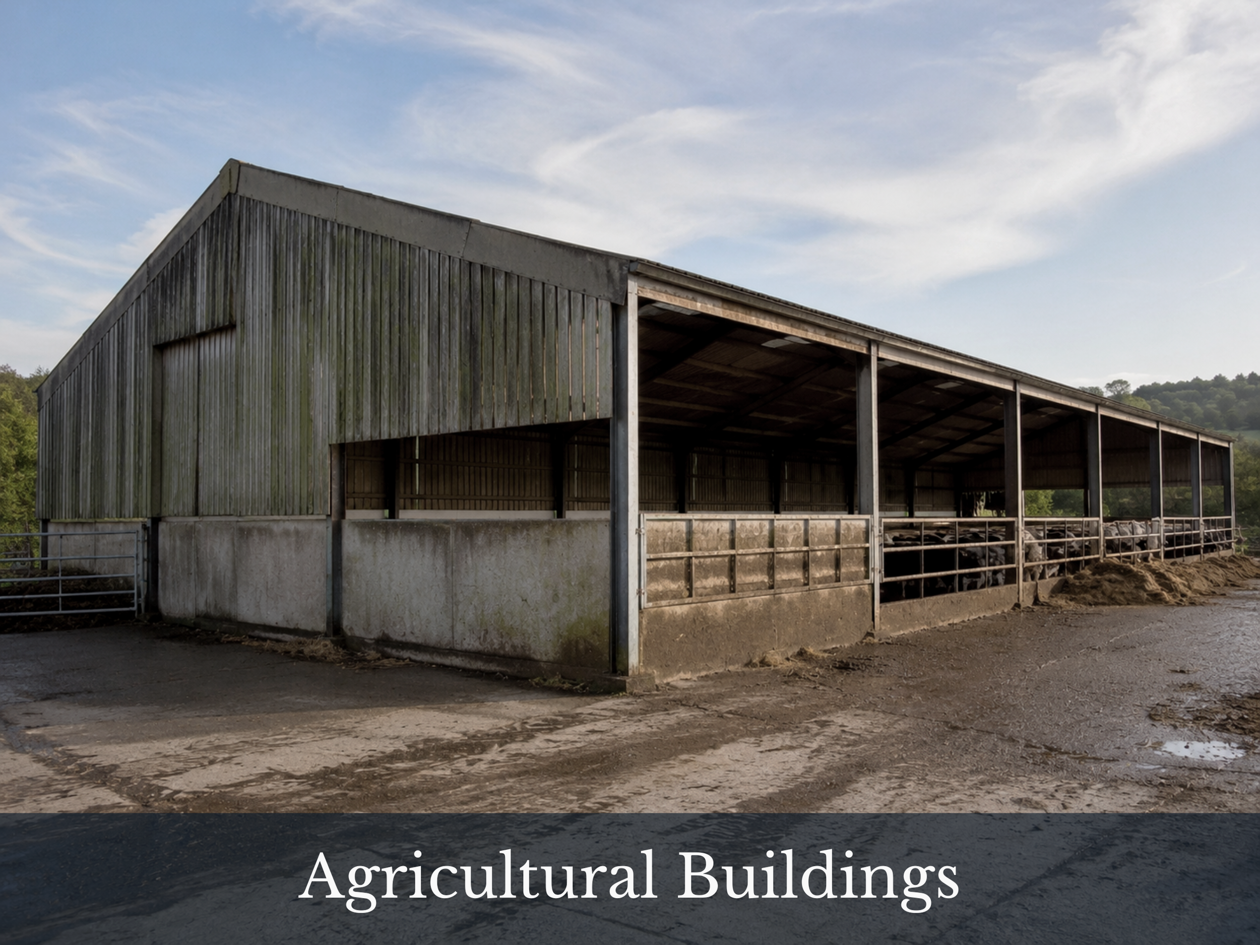 A large open agricultural building with wooden walls and a metal roof, situated on a dirt lot with a backdrop of green trees and a partly cloudy sky.