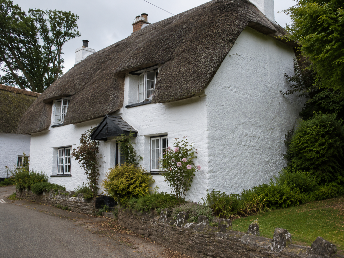 A charming white cottage with a thatched roof, surrounded by greenery and flowering plants, situated on a quiet street.