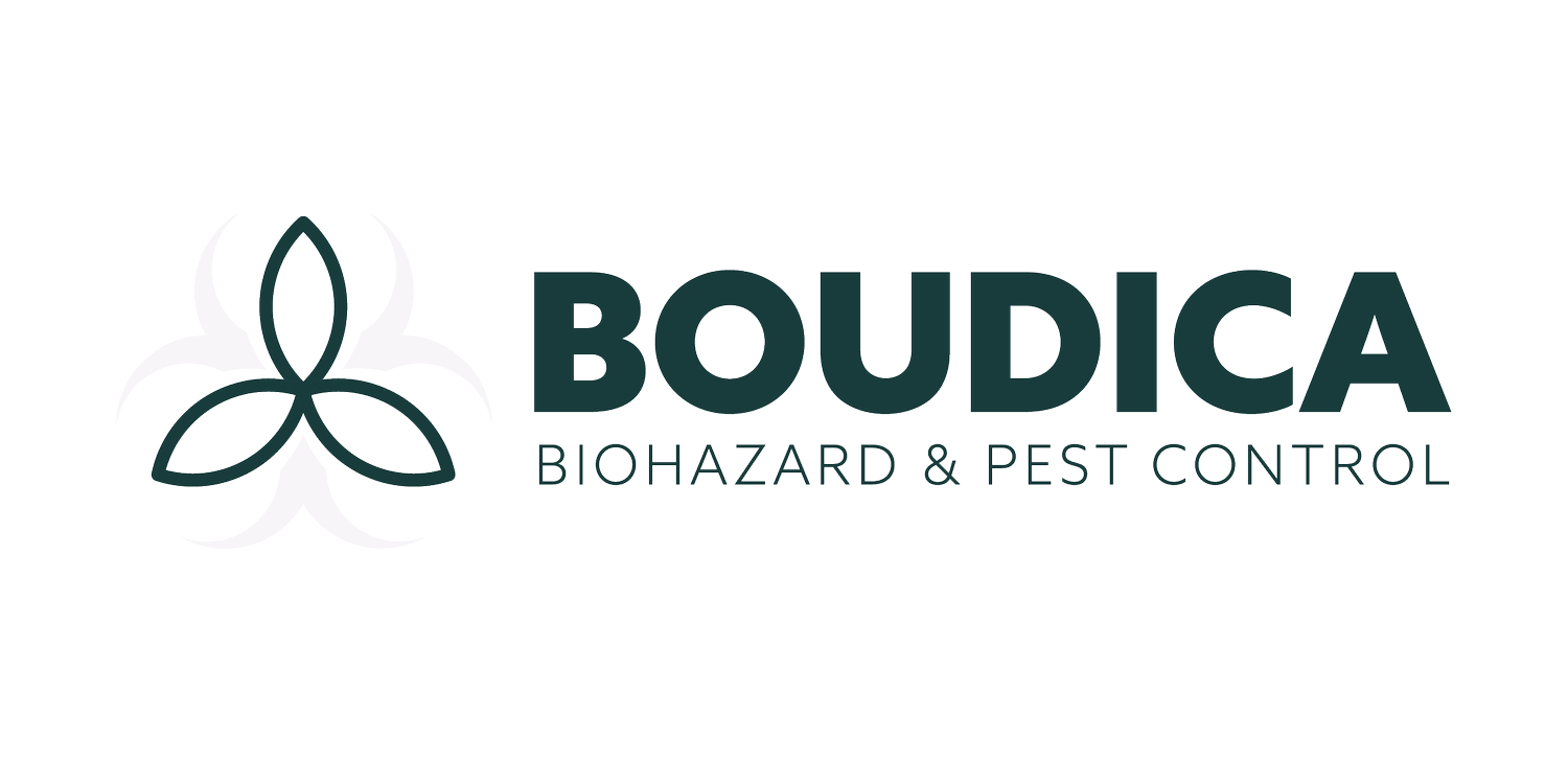 Boudica