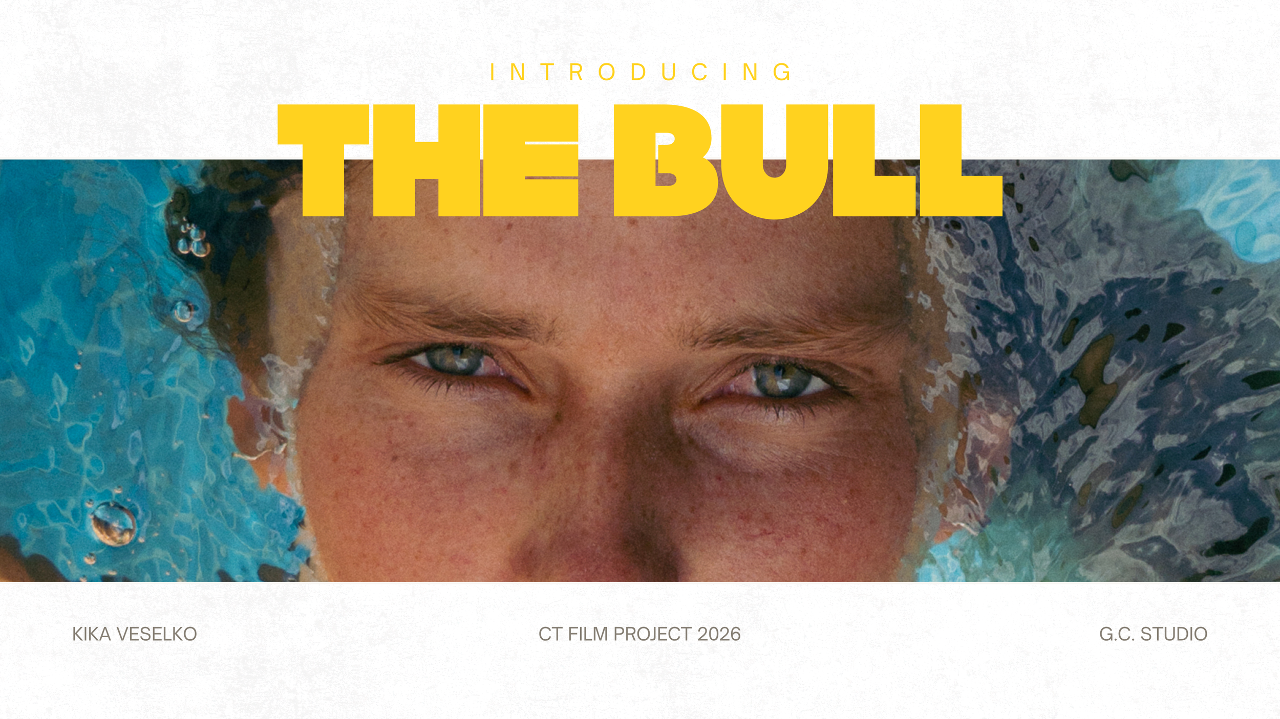 THE BULL