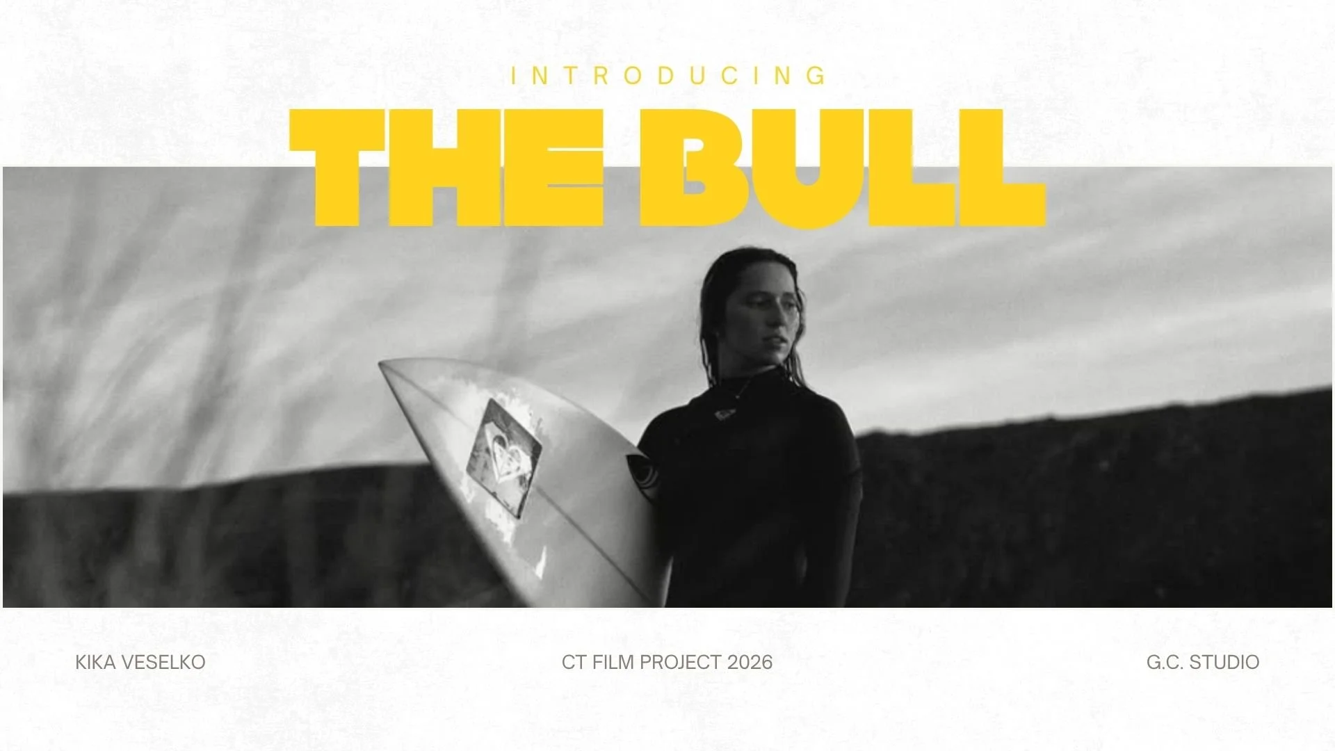 THE BULL