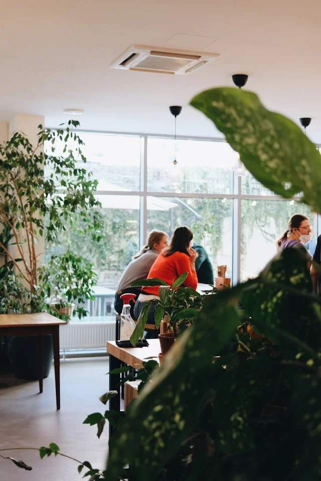 Professionals in a modern workspace, framed by indoor plants and natural light