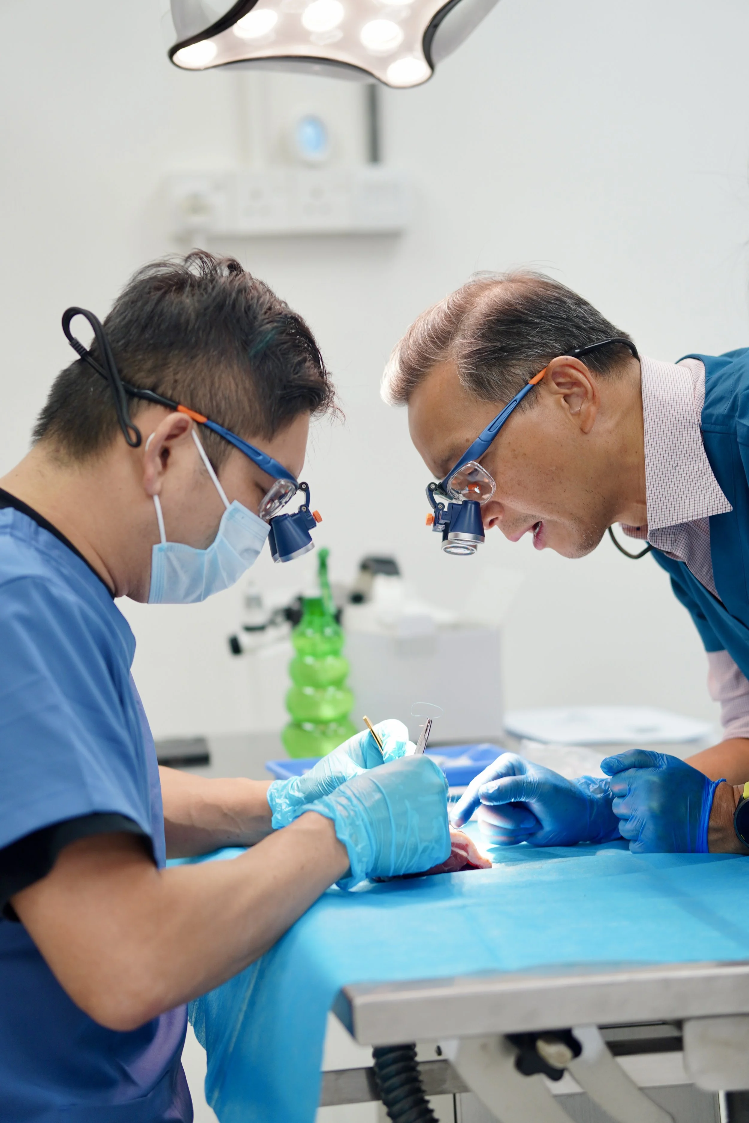 Two medical professionals performing a procedure on a dog in a VALC's practical room, wearing protective gear and surgical glasses, with surgical instruments in hand.