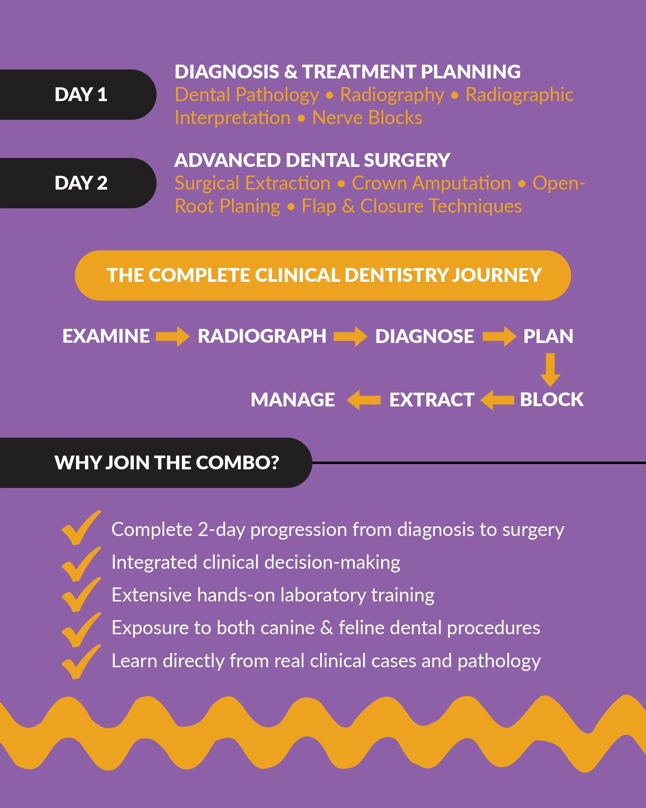 2-DAY VETERINARY DENTISTRY WORKSHOP_page-0002.jpg