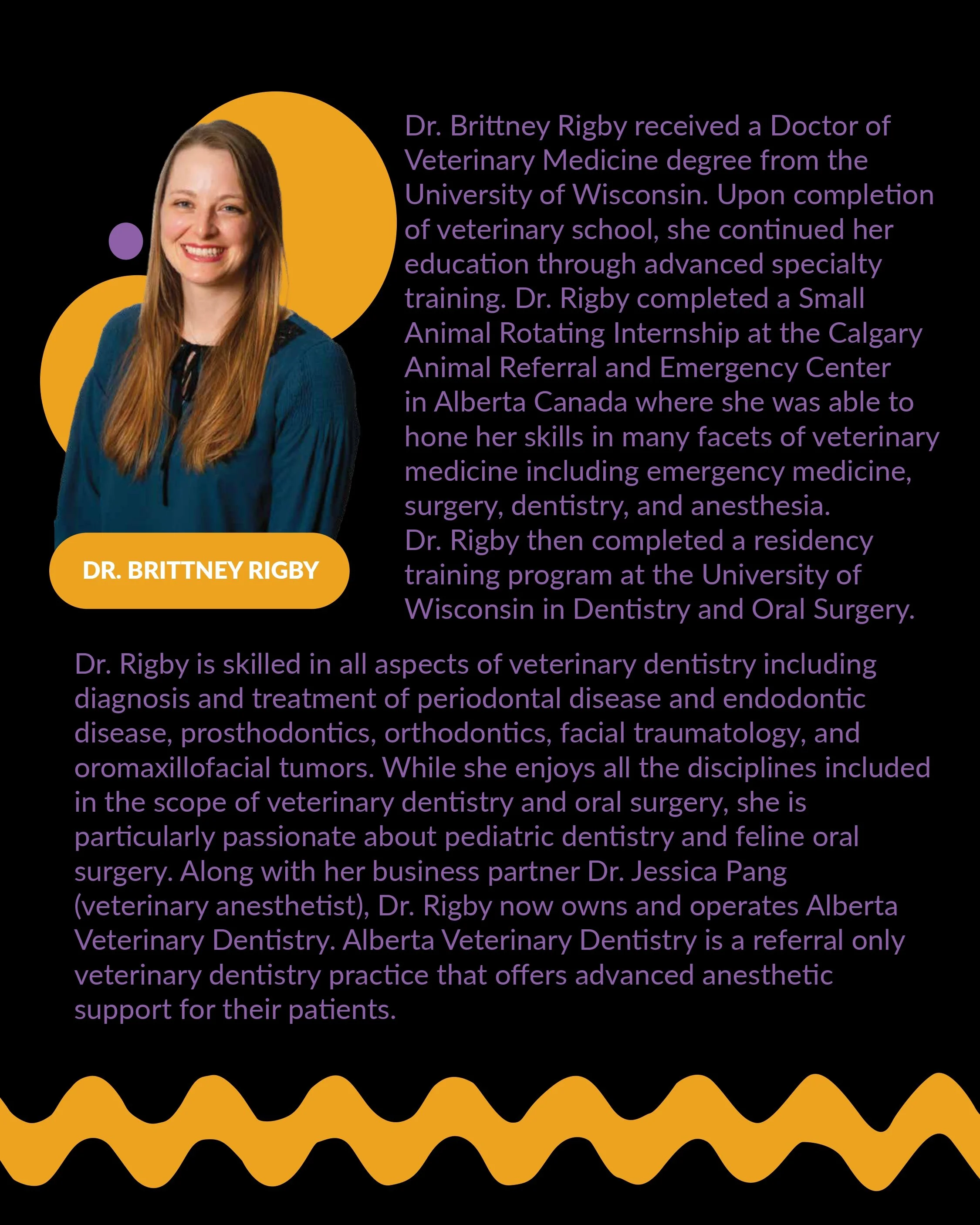 2-DAY VETERINARY DENTISTRY WORKSHOP_page-0003.jpg