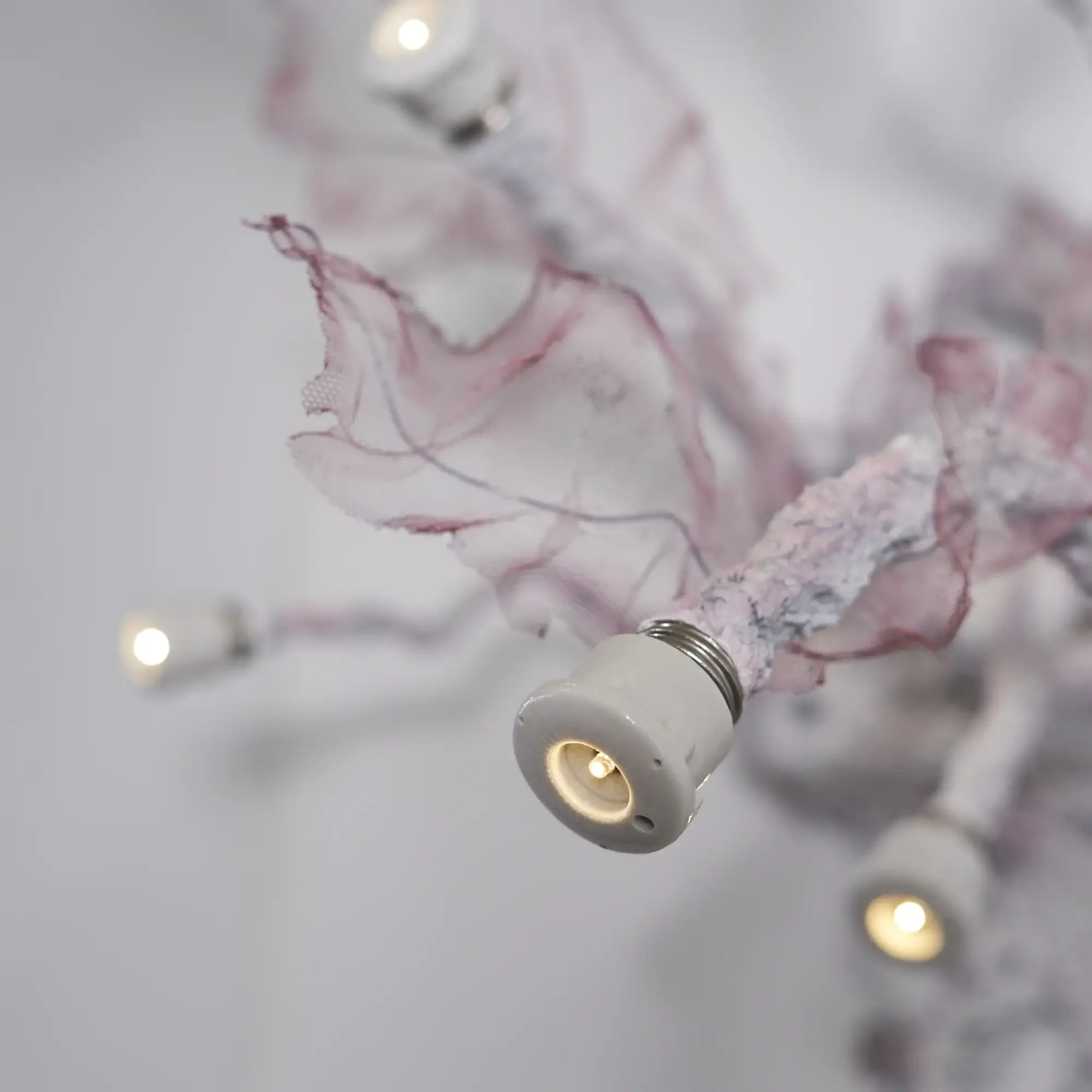Illuminating Growth 06 w.webp