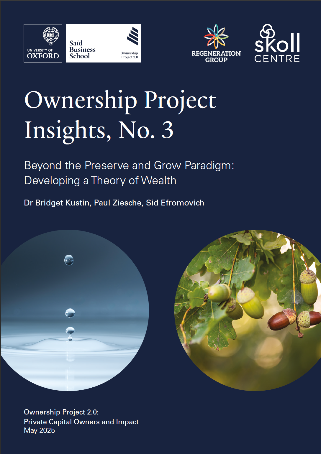 Beyond the Preserve and Grow Paradigm: Developing a Theory of Wealth