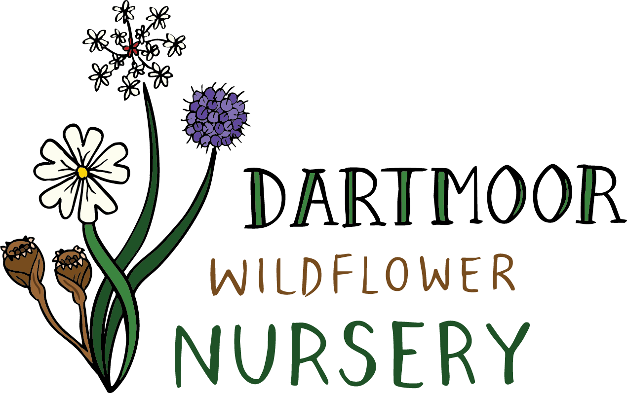 Dartmoor Wildflower Nursery