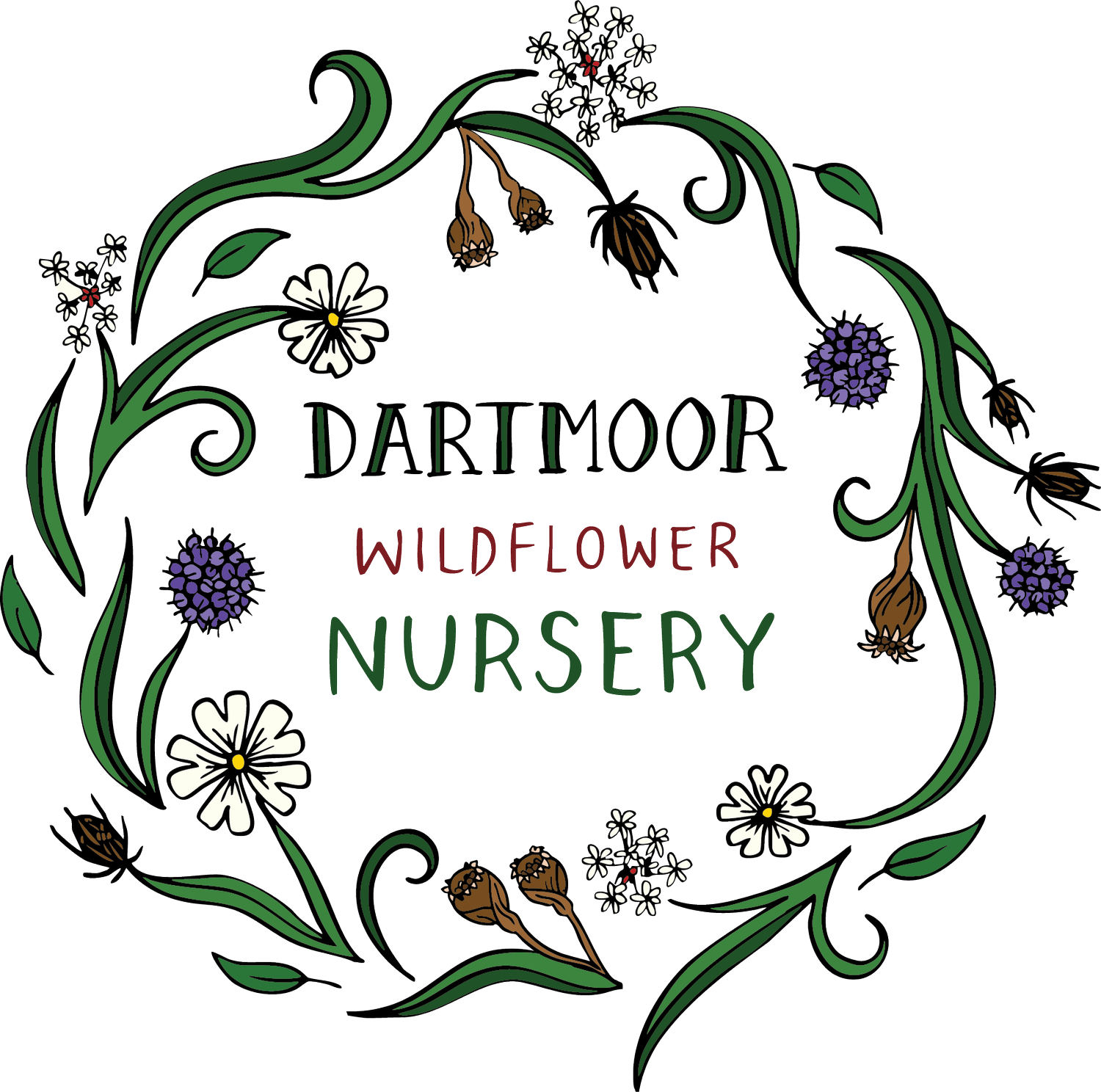 Dartmoor Wildflower Nursery