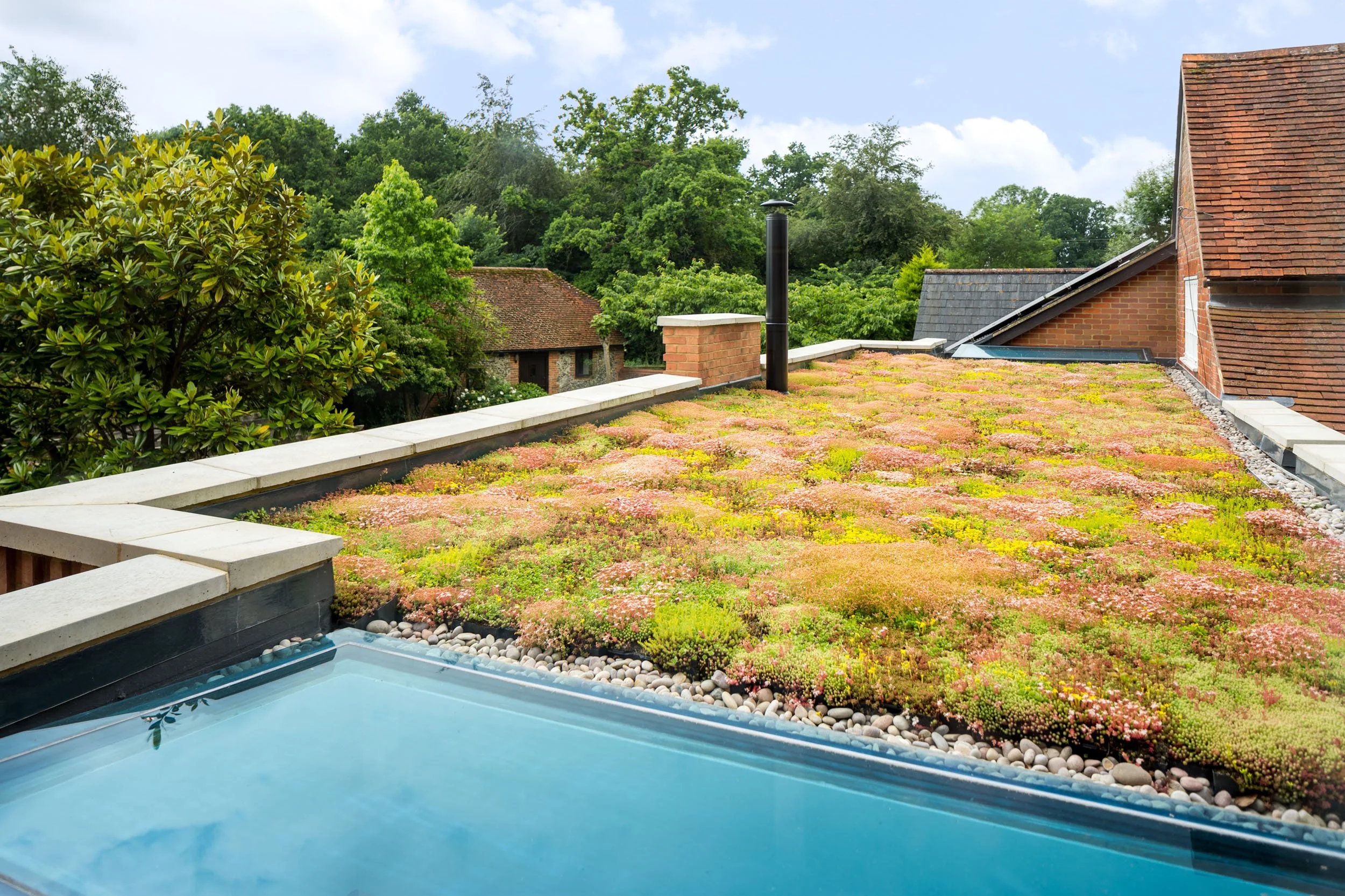 elizabeth-owens-architecture-oxfordshire-sedum-roof-skylight.jpg
