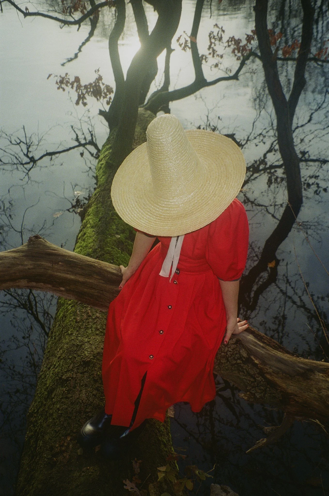 Image23.jpg