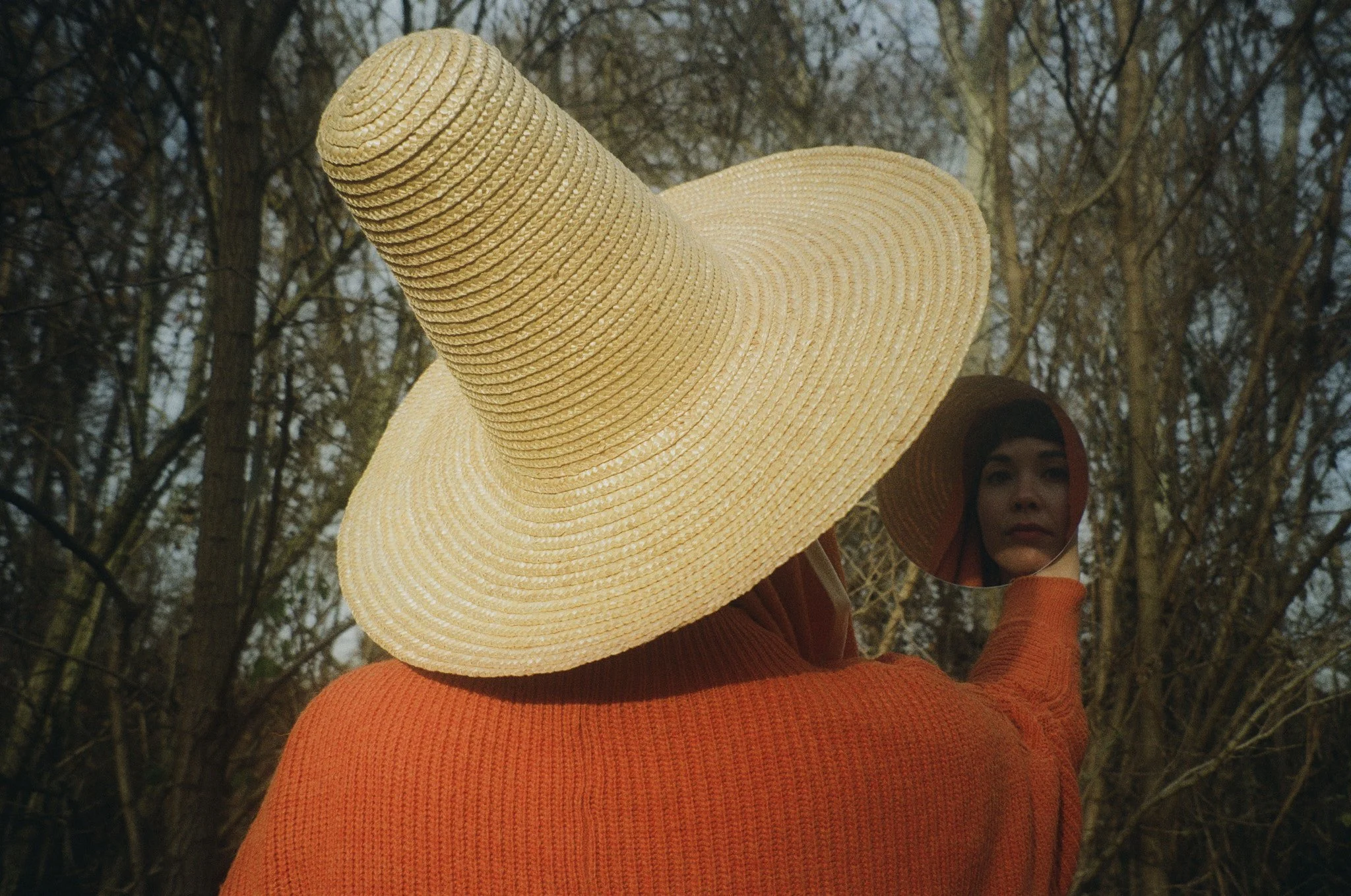 Image17.jpg