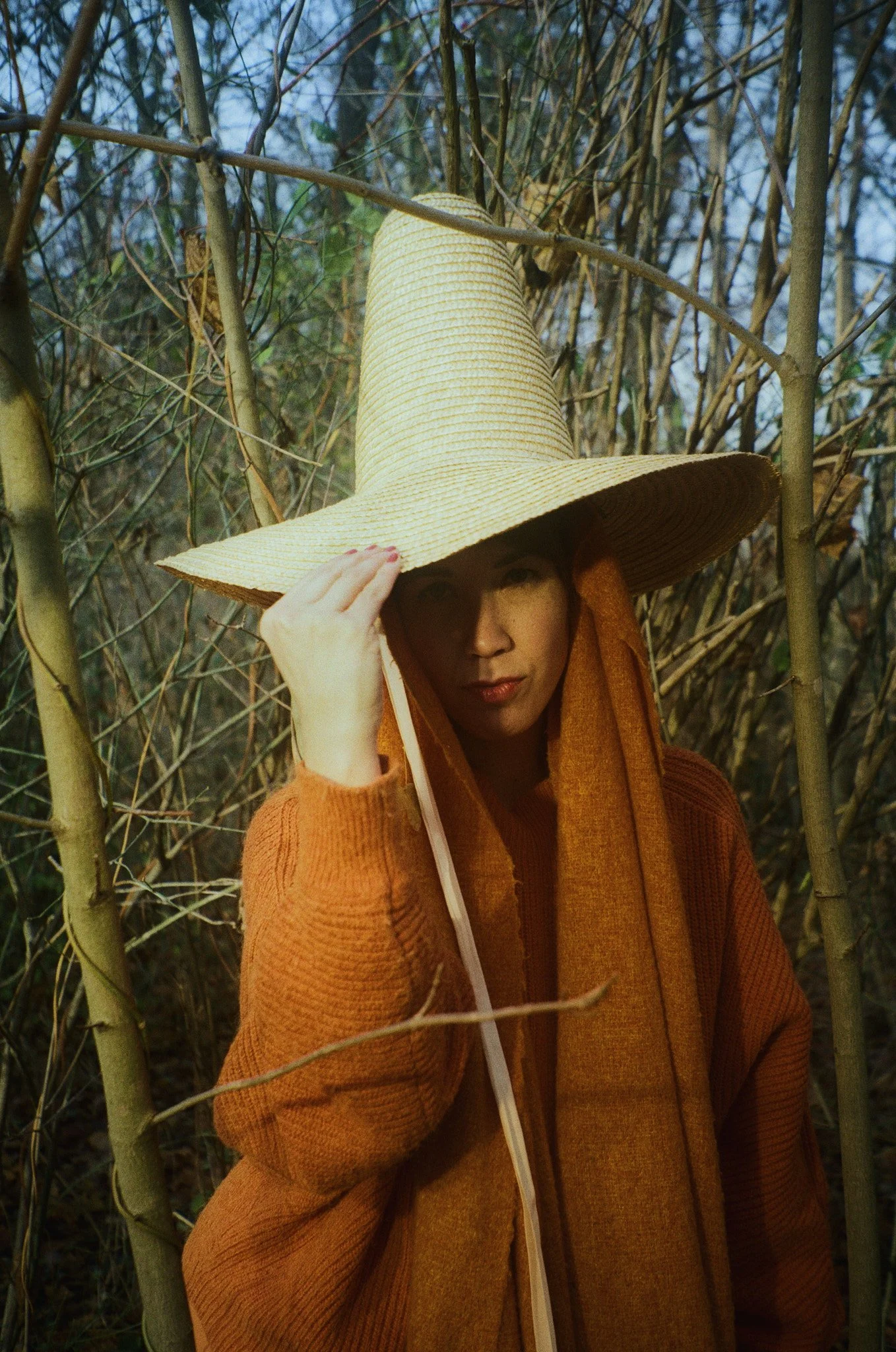 Image12.jpg