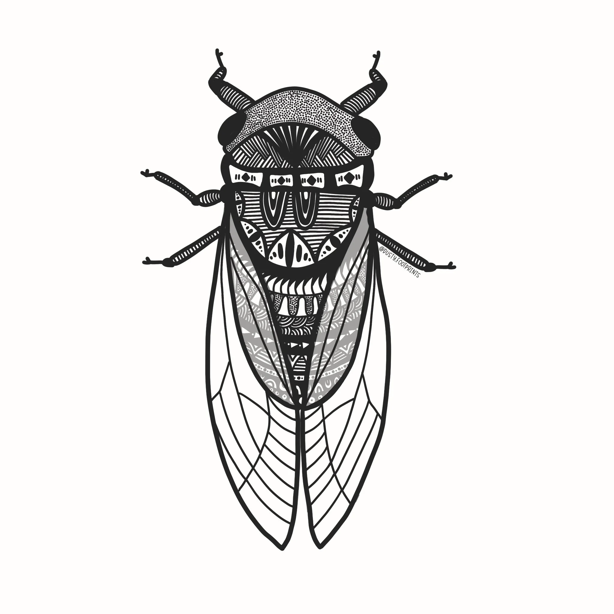 Cicada Sticker